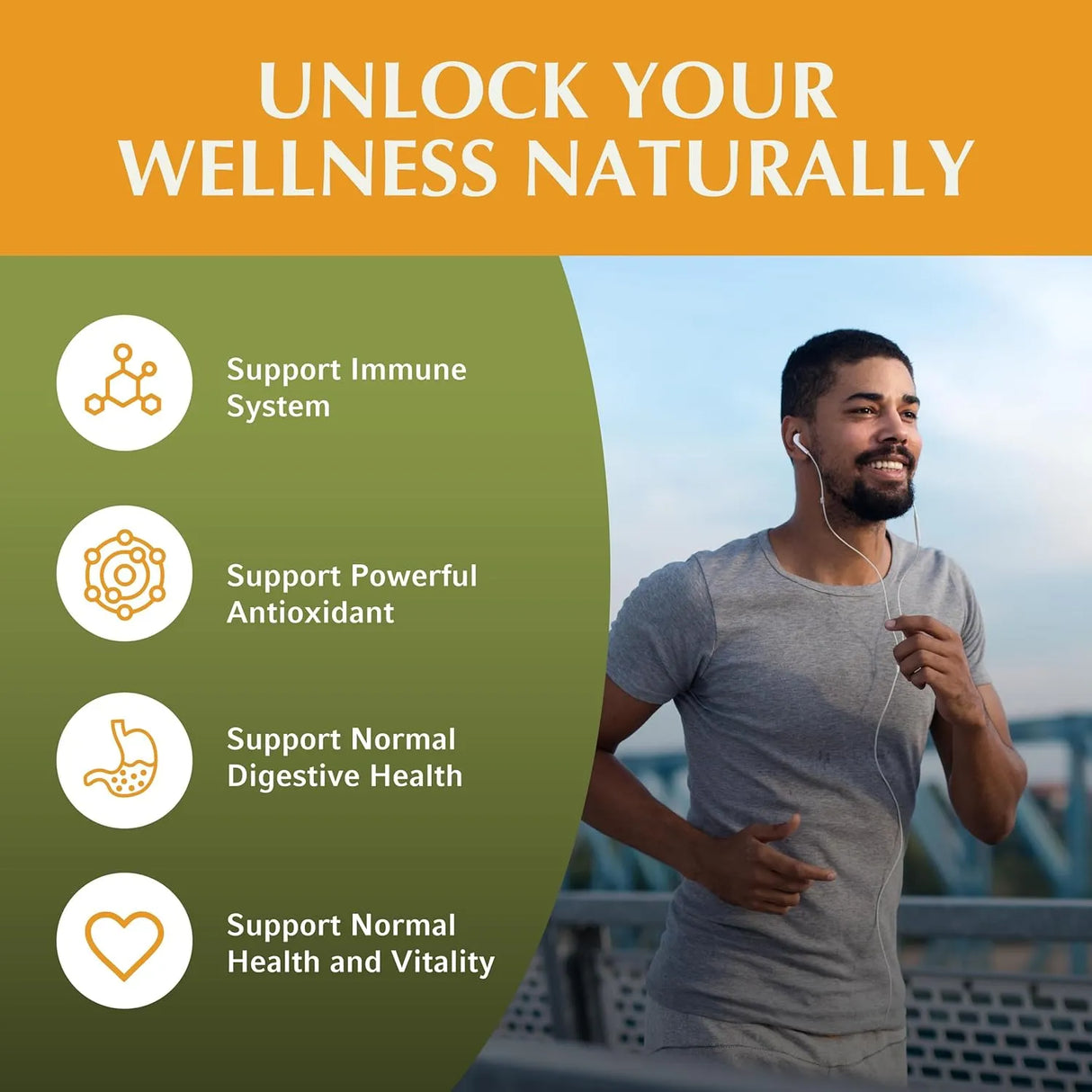 JIVA BOTANICALS - Jiva Botanicals Artemisia Annua Sweet Wormwood 150Mg. 90 Capsulas - The Red Vitamin MX - Suplementos Alimenticios - {{ shop.shopifyCountryName }}