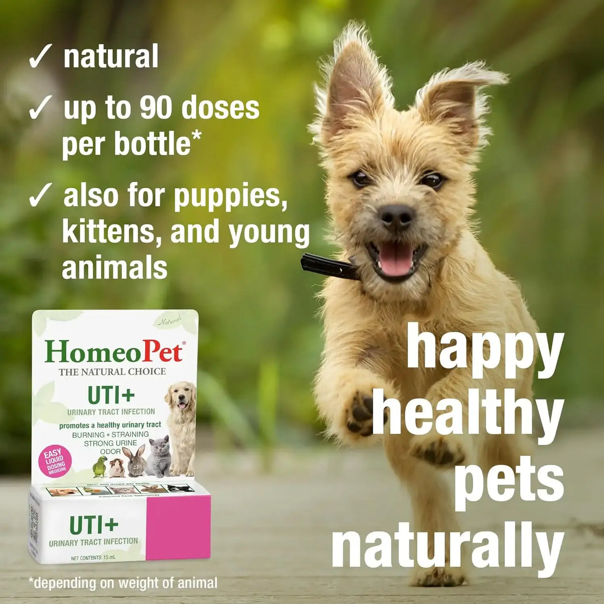 HOMEOPET - HomeoPet UTI Plus Urinary-Tract Relief 15Ml. - The Red Vitamin MX - Salud De Tracto Urinario Para Perros - {{ shop.shopifyCountryName }}
