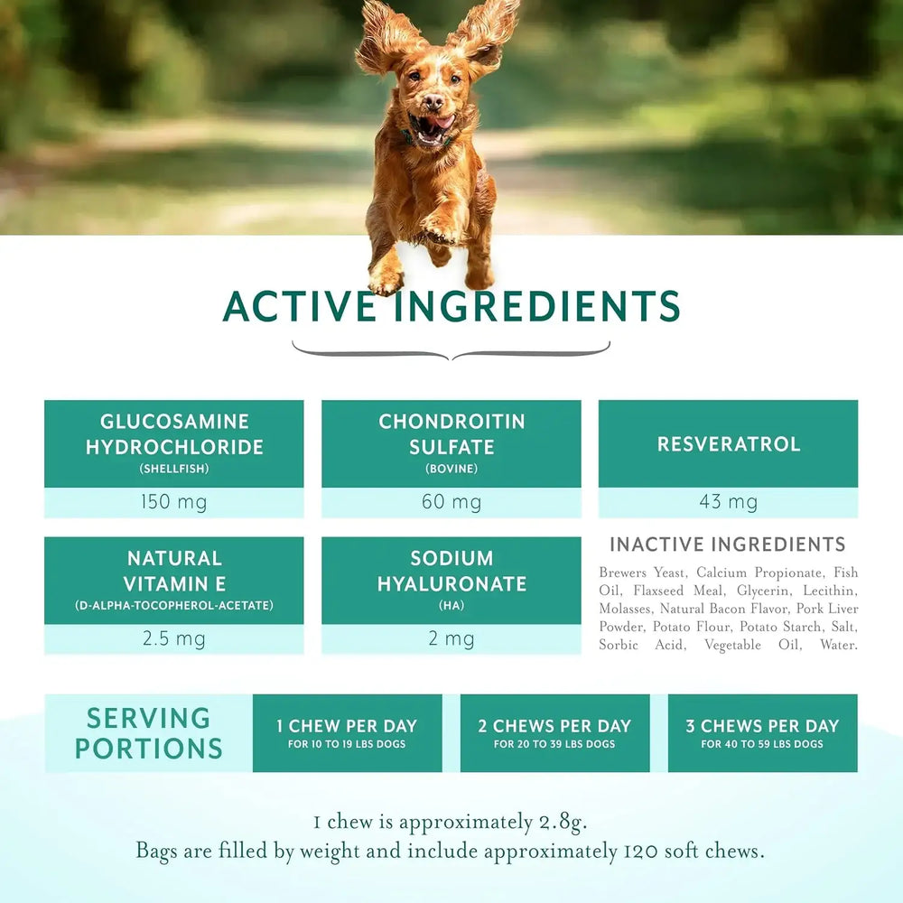 PETHRIVE - PetThrive Dog Hip and Joint Support Soft Chews Small Breed 120 Masticables - The Red Vitamin MX - Cuidado De Cadera Y Articulaciones Para Perros - {{ shop.shopifyCountryName }}