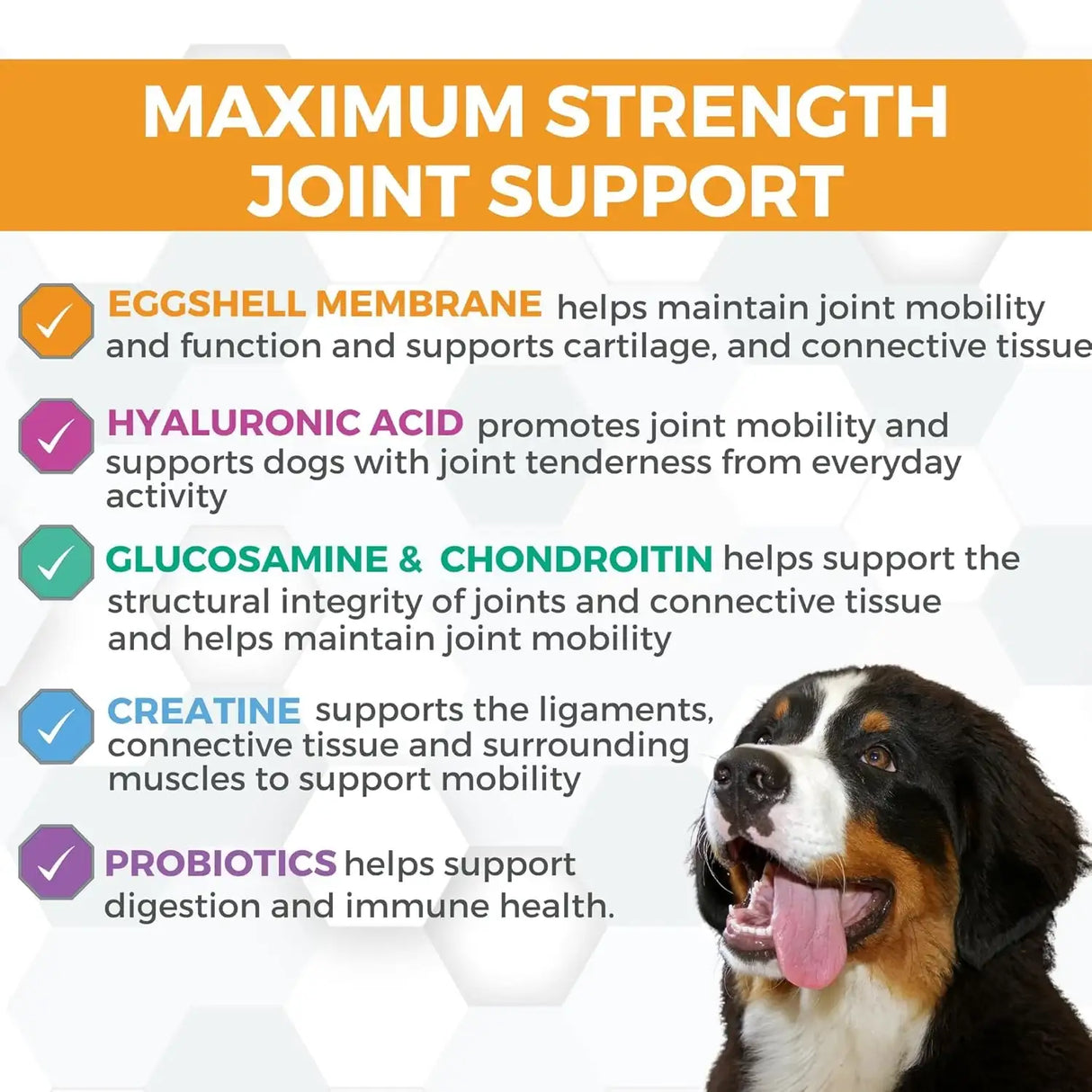 NOOTIE - Nootie ProgilityMAX Hip & Joint Supplement for Large Dogs 60 Masticables - The Red Vitamin MX - Cuidado De Cadera Y Articulaciones Para Perros - {{ shop.shopifyCountryName }}