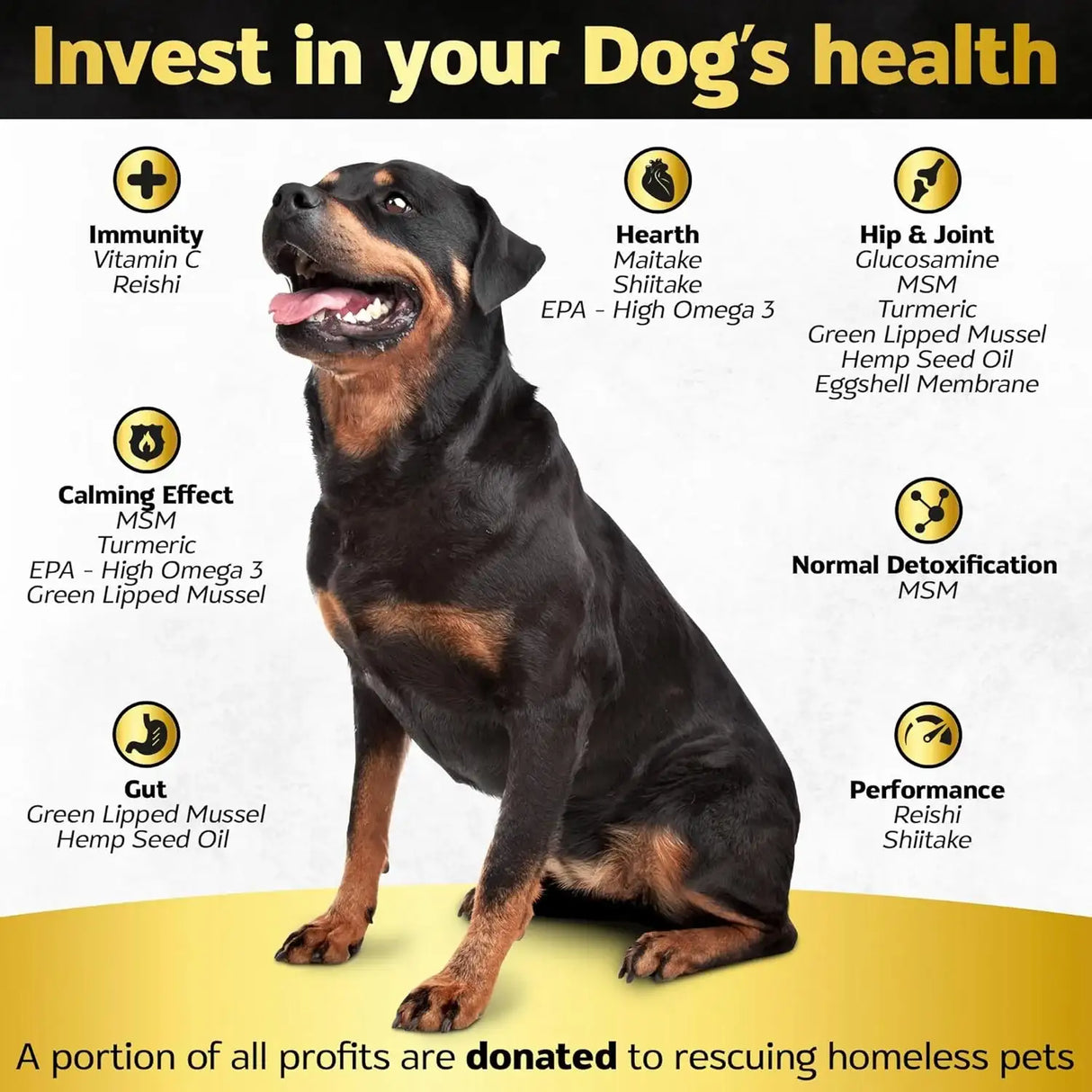 LIFE4LEGS - Life4Legs Soft Chews Hip and Joint Supplement for Dogs Bacon Flavor 30 Masticables - The Red Vitamin MX - Cuidado De Cadera Y Articulaciones Para Perros - {{ shop.shopifyCountryName }}