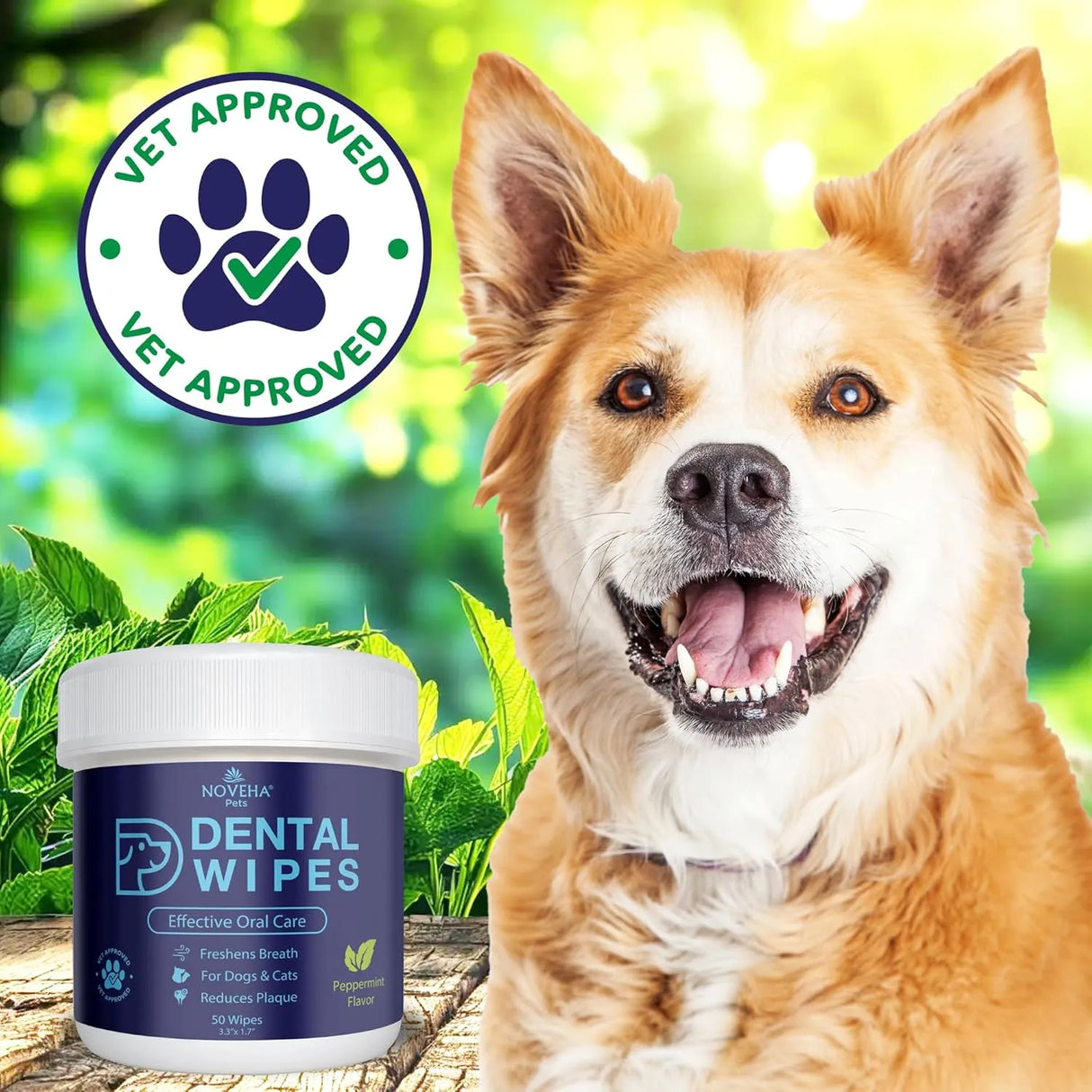 NOVEHA - NOVEHA Pets Dental Finger Wipes for Dogs & Cats Mint 50 Toallitas 2 Pack - The Red Vitamin MX - Cuidado Dental Para Perros - {{ shop.shopifyCountryName }}