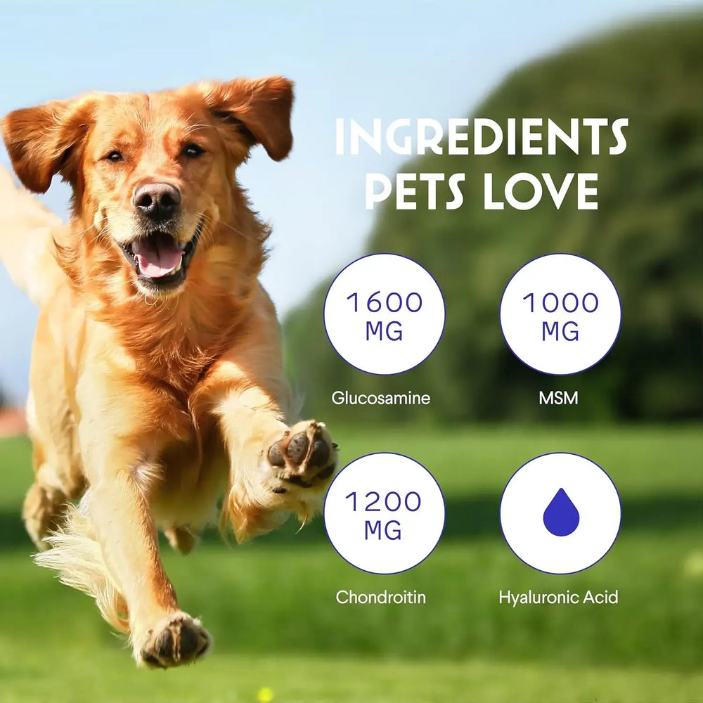 WONDER PAWS - WONDER PAWS Premium Liquid Glucosamine for Dogs Strength Joint Support 16 Fl.Oz. - The Red Vitamin MX - Cuidado De Cadera Y Articulaciones Para Perros - {{ shop.shopifyCountryName }}