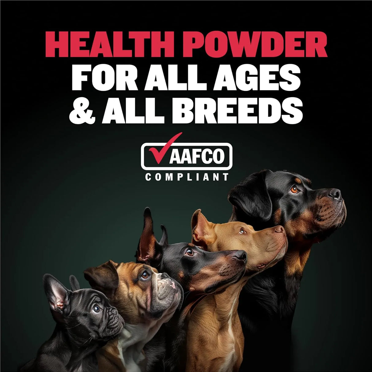 BULLY MAX - Bully Max 7-in-1 Dog Multivitamin Powder 368Gr. - The Red Vitamin MX - Multivitamínicos Para Perros - {{ shop.shopifyCountryName }}