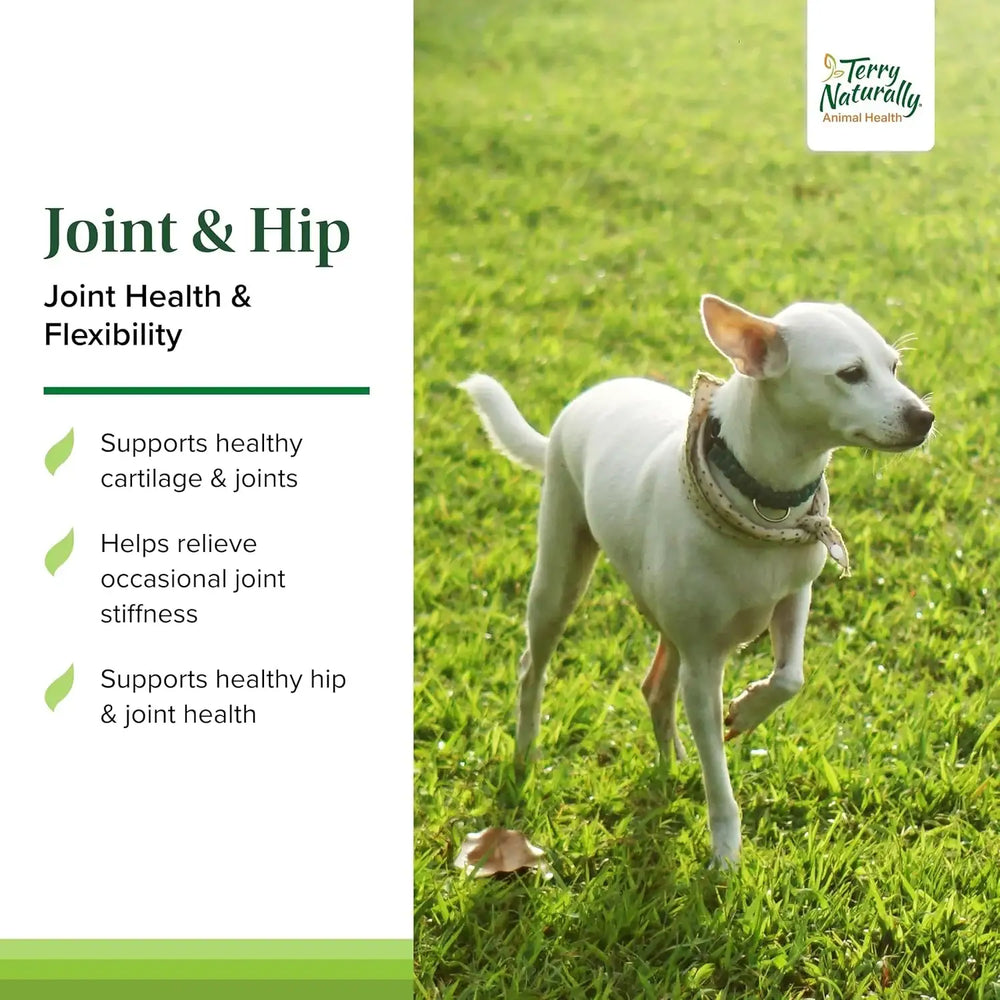 TRUSTWELL PAWMEDICA - Terry Naturally Joint & Hip 60 Masticables - The Red Vitamin MX - Cuidado De Cadera Y Articulaciones Para Perros - {{ shop.shopifyCountryName }}
