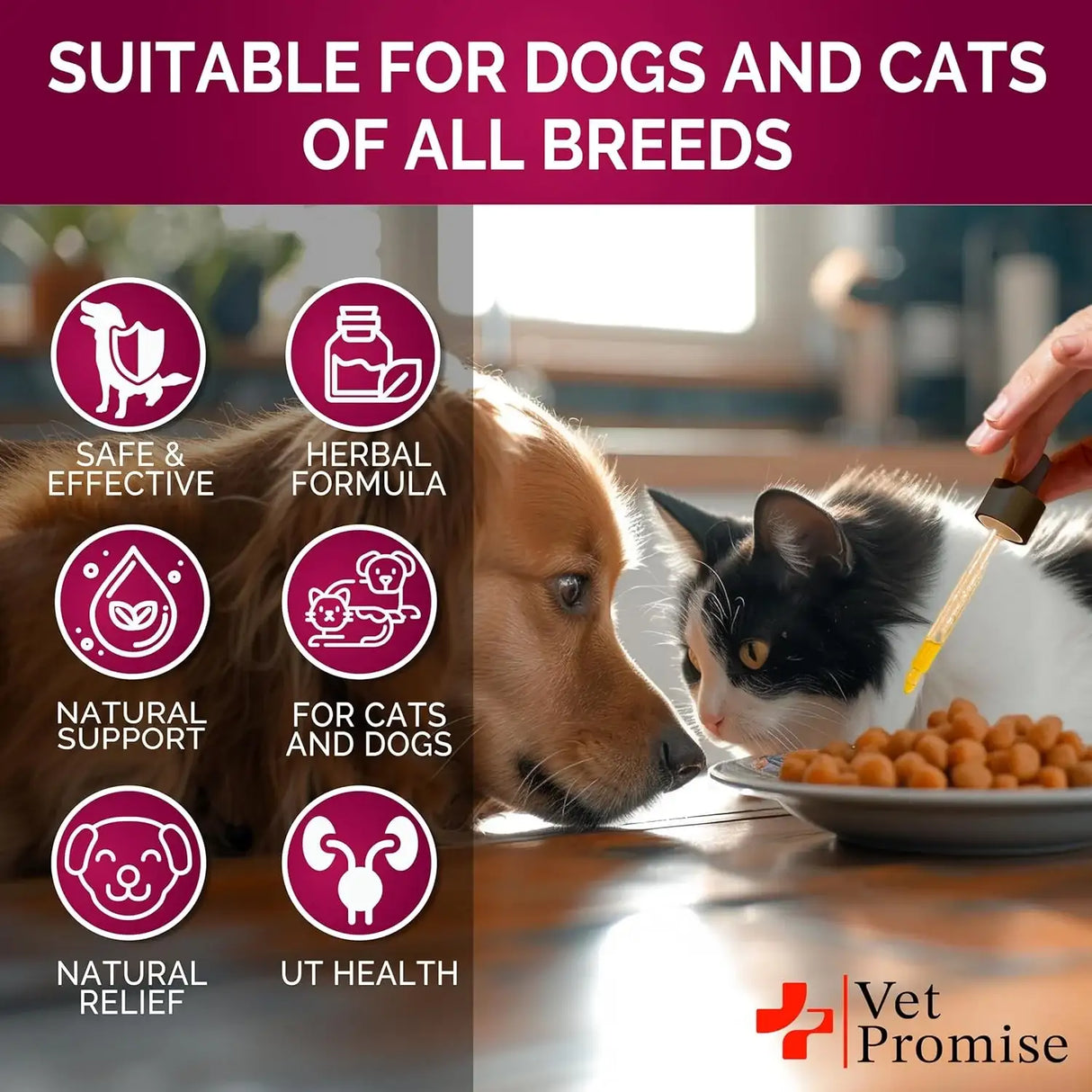 VET PROMISE - Vet Promise Urinary Tract Infection Treatments with Cranberry 2 Fl.Oz. - The Red Vitamin MX - Salud De Tracto Urinario Para Perros - {{ shop.shopifyCountryName }}