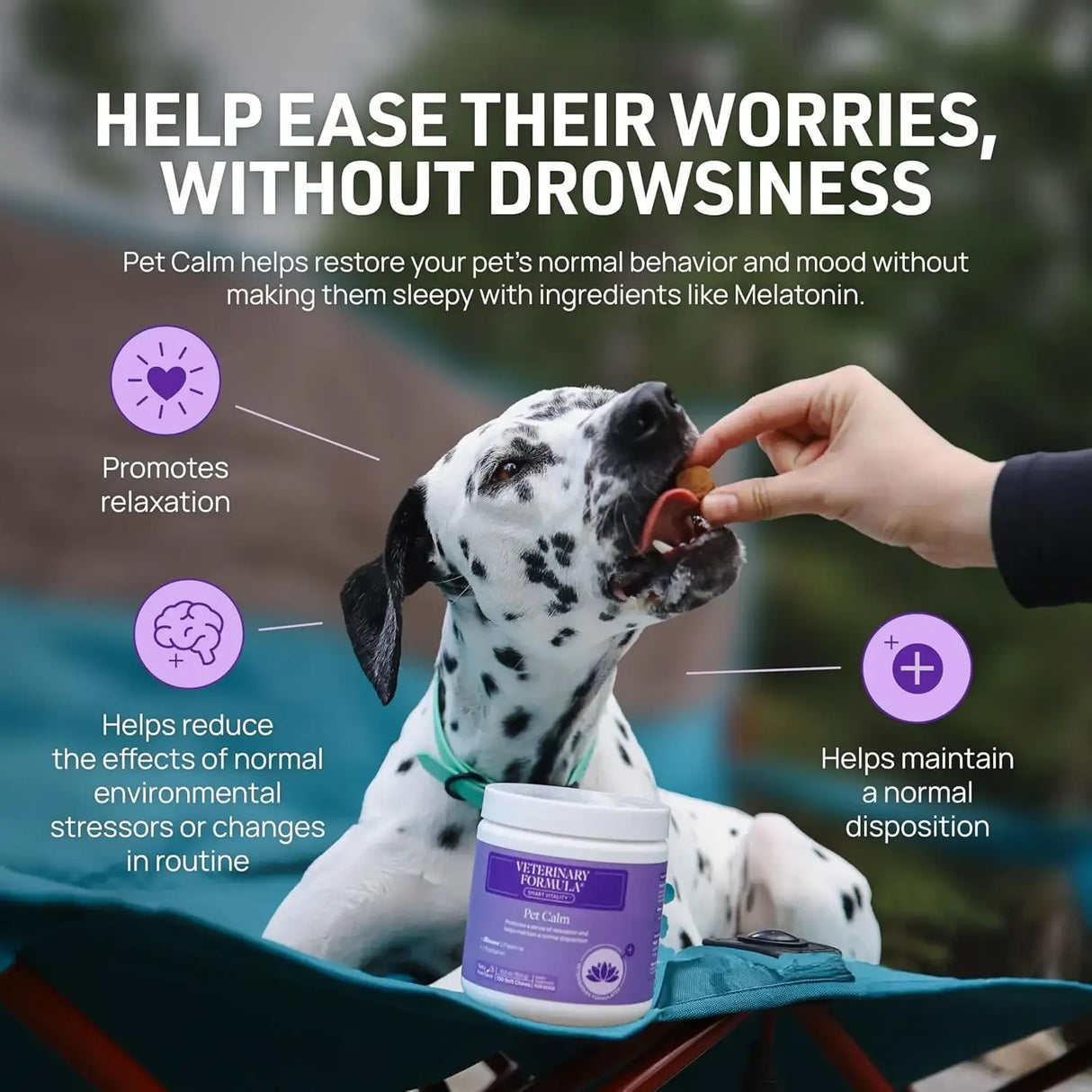 VETERINARY FORMULA - Veterinary Formula Smart Vitality Pet Calm Supplement for Dogs 30 Masticables - The Red Vitamin MX - Relajantes Para Perros - {{ shop.shopifyCountryName }}