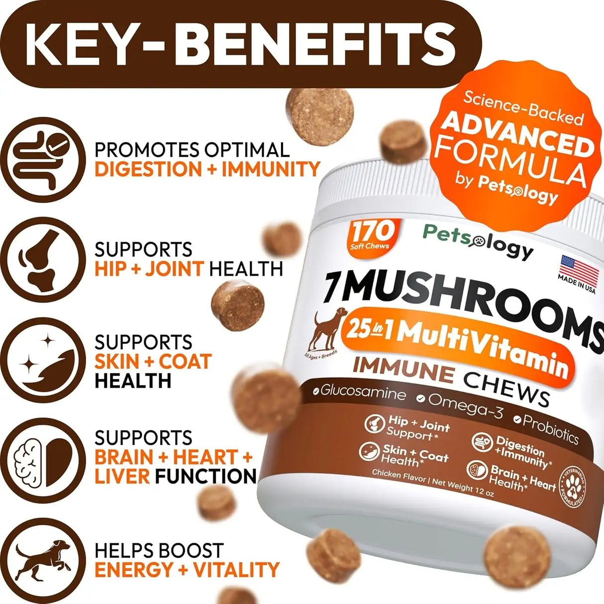 PETSOLOGY - Petsology Multivitamin Mushrooms for Dogs 170 Masticables - The Red Vitamin MX - Multivitamínicos Para Perros - {{ shop.shopifyCountryName }}