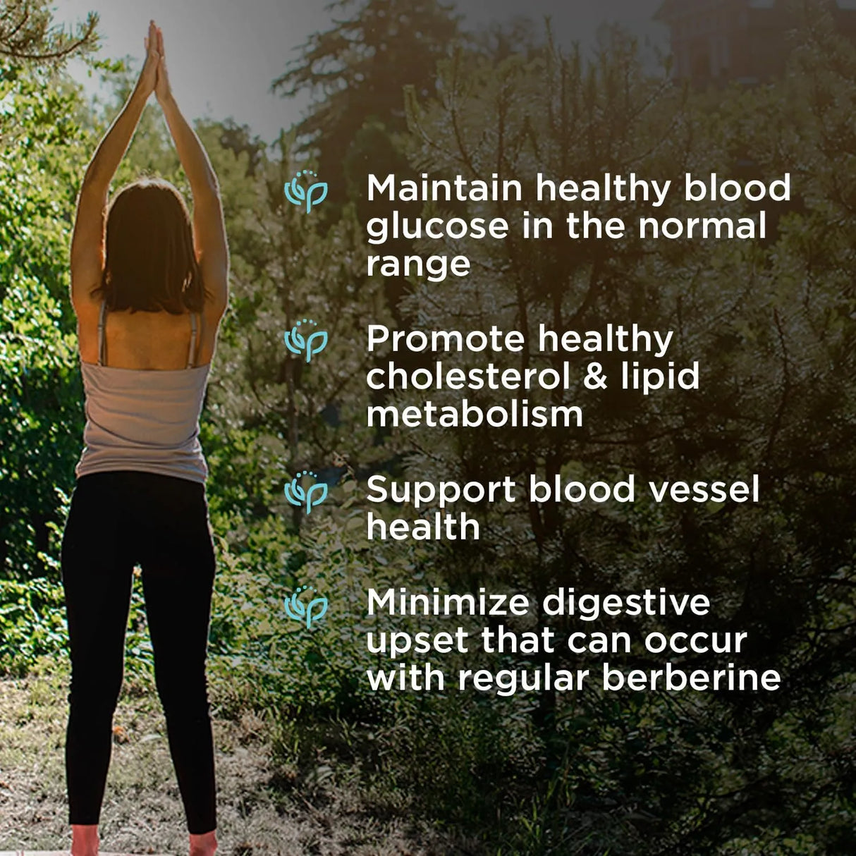 ENDURANCE PRODUCTS - Endurance Products Dihydroberberine 150Mg. 60 Tabletas - The Red Vitamin MX - Suplementos Alimenticios - {{ shop.shopifyCountryName }}