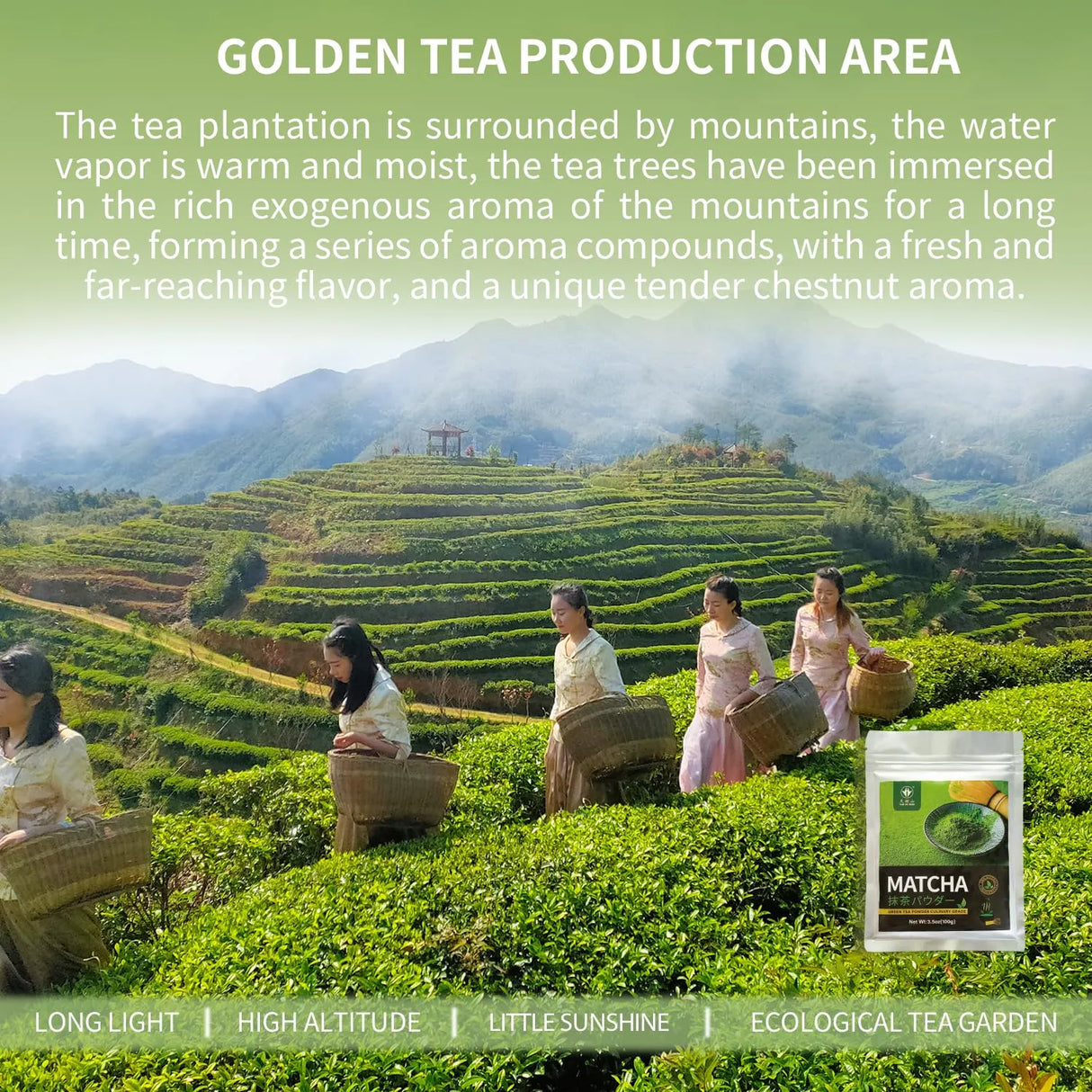 TIAN HU SHAN - TIAN HU SHAN Matcha Green Tea Powder Culinary Grade 100Gr. - The Red Vitamin MX - Suplementos Alimenticios - {{ shop.shopifyCountryName }}