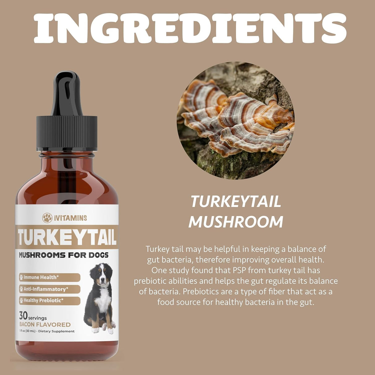 IVITAMINS - iVitamins Turkey Tail Mushroom for Dogs 1 Fl.Oz. - The Red Vitamin MX - Suplementos Herbales Para Perros - {{ shop.shopifyCountryName }}