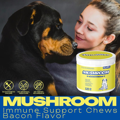 PAWBLISS - PawBliss Turkey Tail Mushroom for Dogs 120 Masticables - The Red Vitamin MX - Suplementos Herbales Para Perros - {{ shop.shopifyCountryName }}