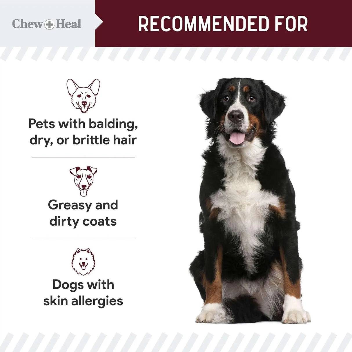 CHEW + HEAL - Chew + Heal Labs Omega Treats for Skin and Coat Lamb Flavor 180 Masticables - The Red Vitamin MX - Aceite De Pescado Para Perros - {{ shop.shopifyCountryName }}