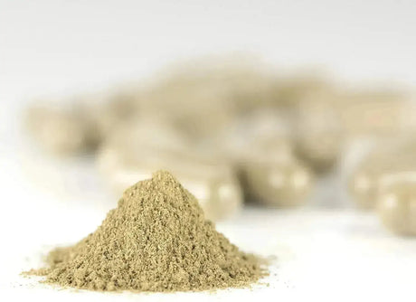 SUPREME NUTRITION - Supreme Nutrition Tulsi Supreme 90 Capsulas - The Red Vitamin MX - Suplementos Alimenticios - {{ shop.shopifyCountryName }}