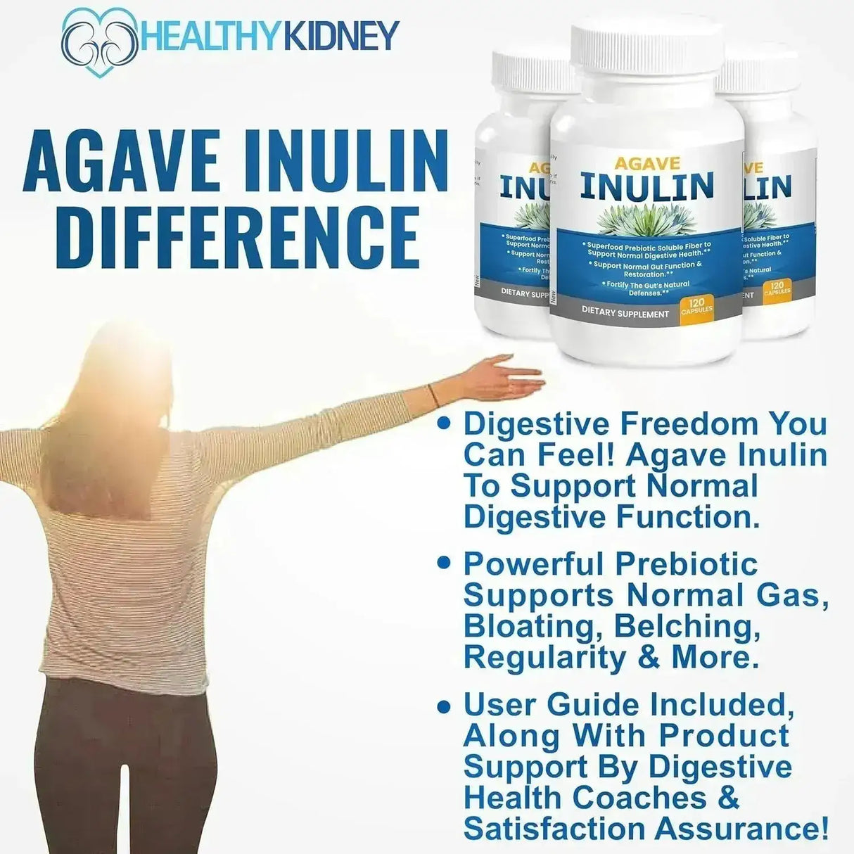 KIDNEY RESTORE - Kidney Restore Agave Inulin 120 Capsulas - The Red Vitamin MX - Suplementos Alimenticios - {{ shop.shopifyCountryName }}