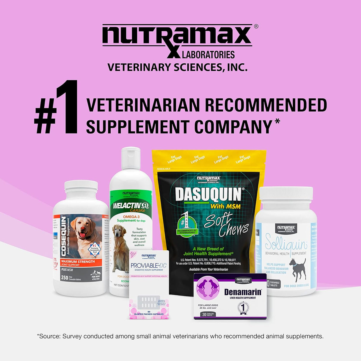 Nutramax Denosyl Liver and Brain Health for Small Dogs and Cats 30 Tabletas