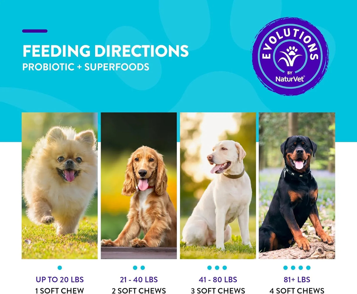 NATURVET - NaturVet Evolutions Probiotic & Superfoods 90 Masticables - The Red Vitamin MX - Probióticos Para Perros - {{ shop.shopifyCountryName }}