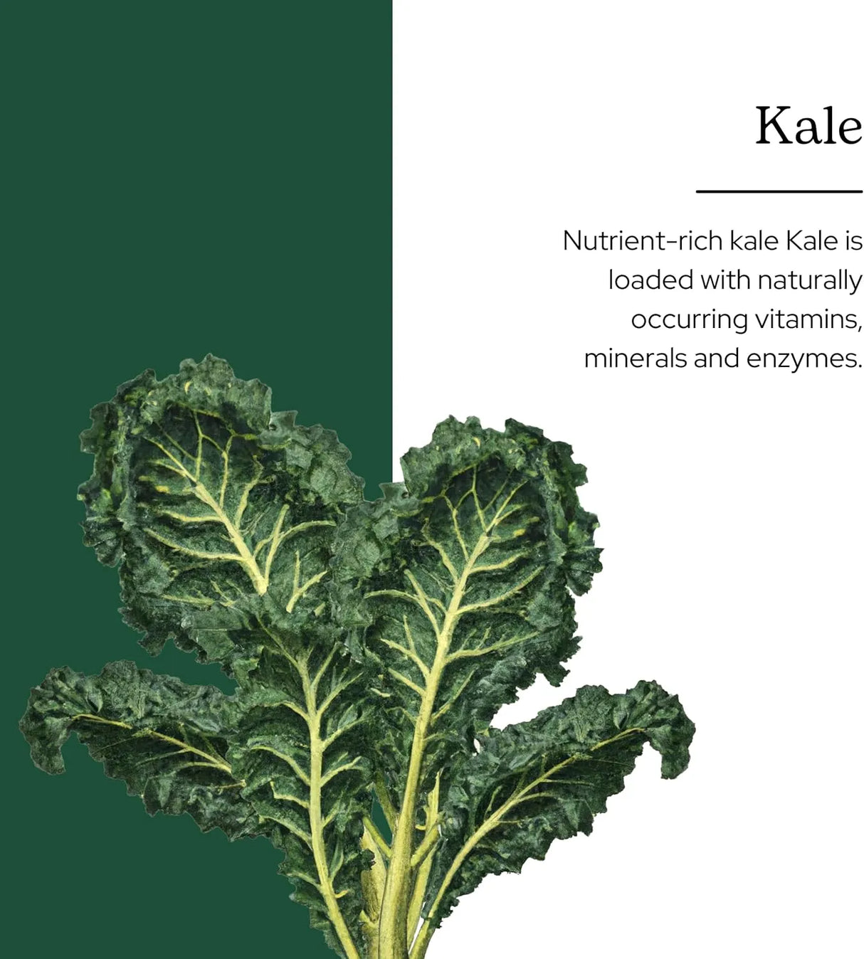 ECLECTIC HERB - Eclectic Herb Raw Fresh Freeze-Dried Kale Whole Food Powder 90Gr. - The Red Vitamin MX - Suplementos Alimenticios - {{ shop.shopifyCountryName }}