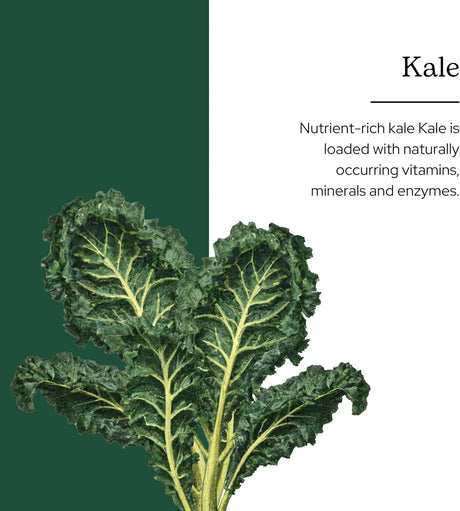 ECLECTIC HERB - Eclectic Herb Raw Fresh Freeze-Dried Kale Whole Food Powder 90Gr. - The Red Vitamin MX - Suplementos Alimenticios - {{ shop.shopifyCountryName }}