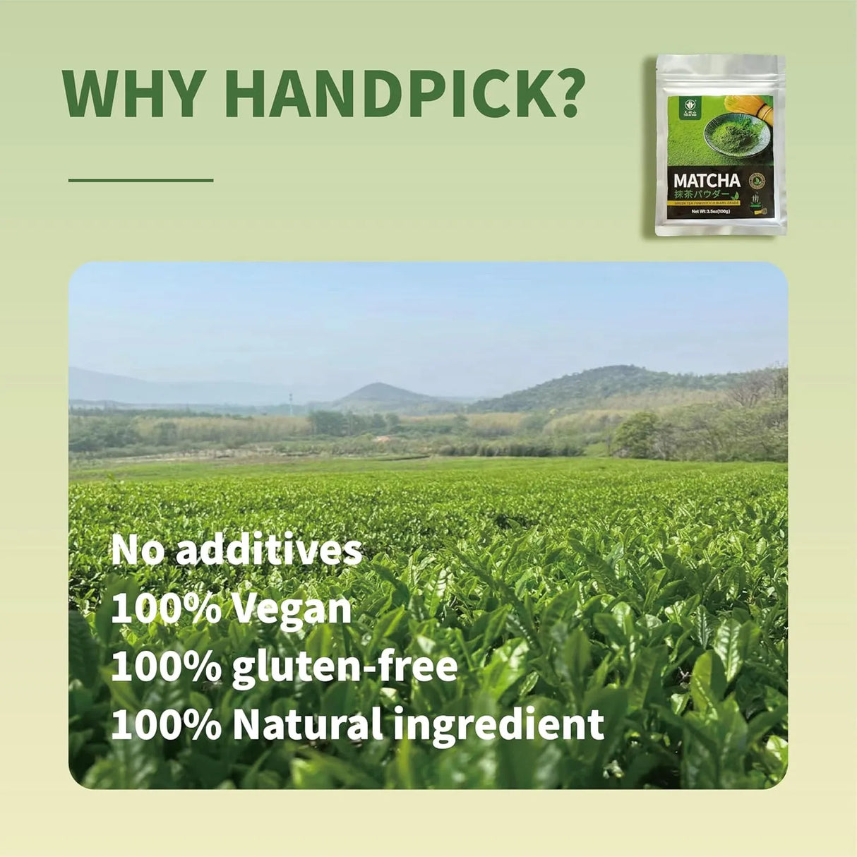 TIAN HU SHAN - TIAN HU SHAN Matcha Green Tea Powder Culinary Grade 100Gr. - The Red Vitamin MX - Suplementos Alimenticios - {{ shop.shopifyCountryName }}