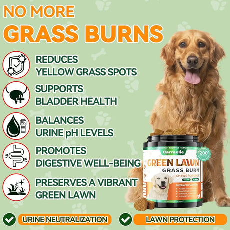 CARMELIE - Carmelie Grass Burn Spot Chews 200 Masticables - The Red Vitamin MX - Salud De Tracto Urinario Para Perros - {{ shop.shopifyCountryName }}