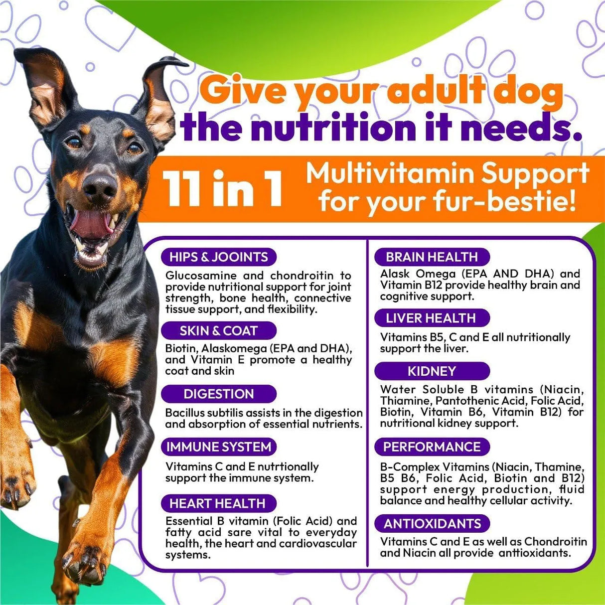 KARACHY - Karachy Multivitamins for Adult Dogs 120 Tabletas Masticables - The Red Vitamin MX - Multivitamínicos Para Perros - {{ shop.shopifyCountryName }}