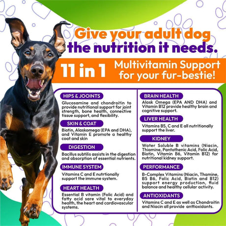 KARACHY - Karachy Multivitamins for Adult Dogs 120 Tabletas Masticables - The Red Vitamin MX - Multivitamínicos Para Perros - {{ shop.shopifyCountryName }}