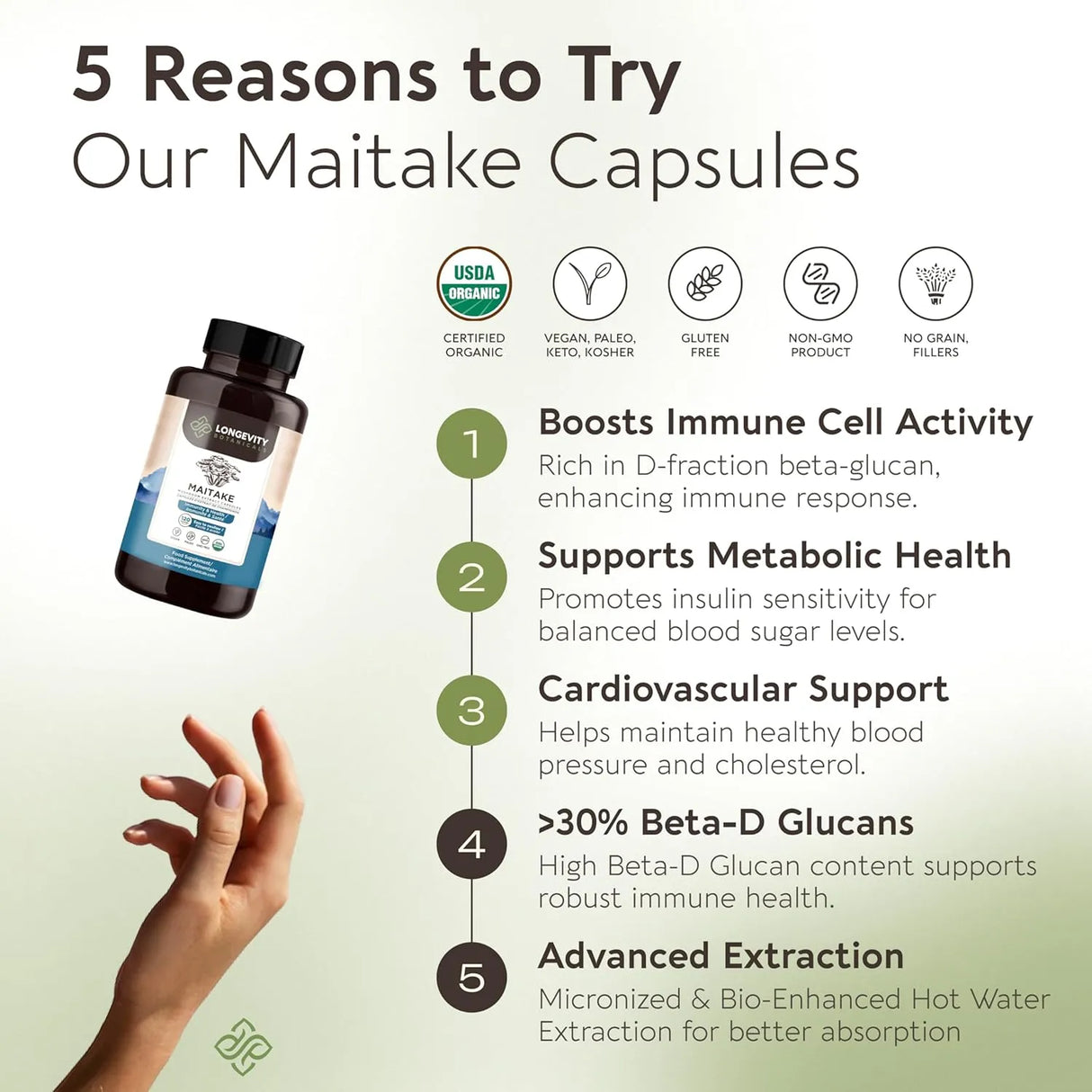 LONGEVITY BOTANICALS - Longevity Botanicals Organic Maitake Mushroom Extract 120 Capsulas - The Red Vitamin MX - Suplementos Alimenticios - {{ shop.shopifyCountryName }}