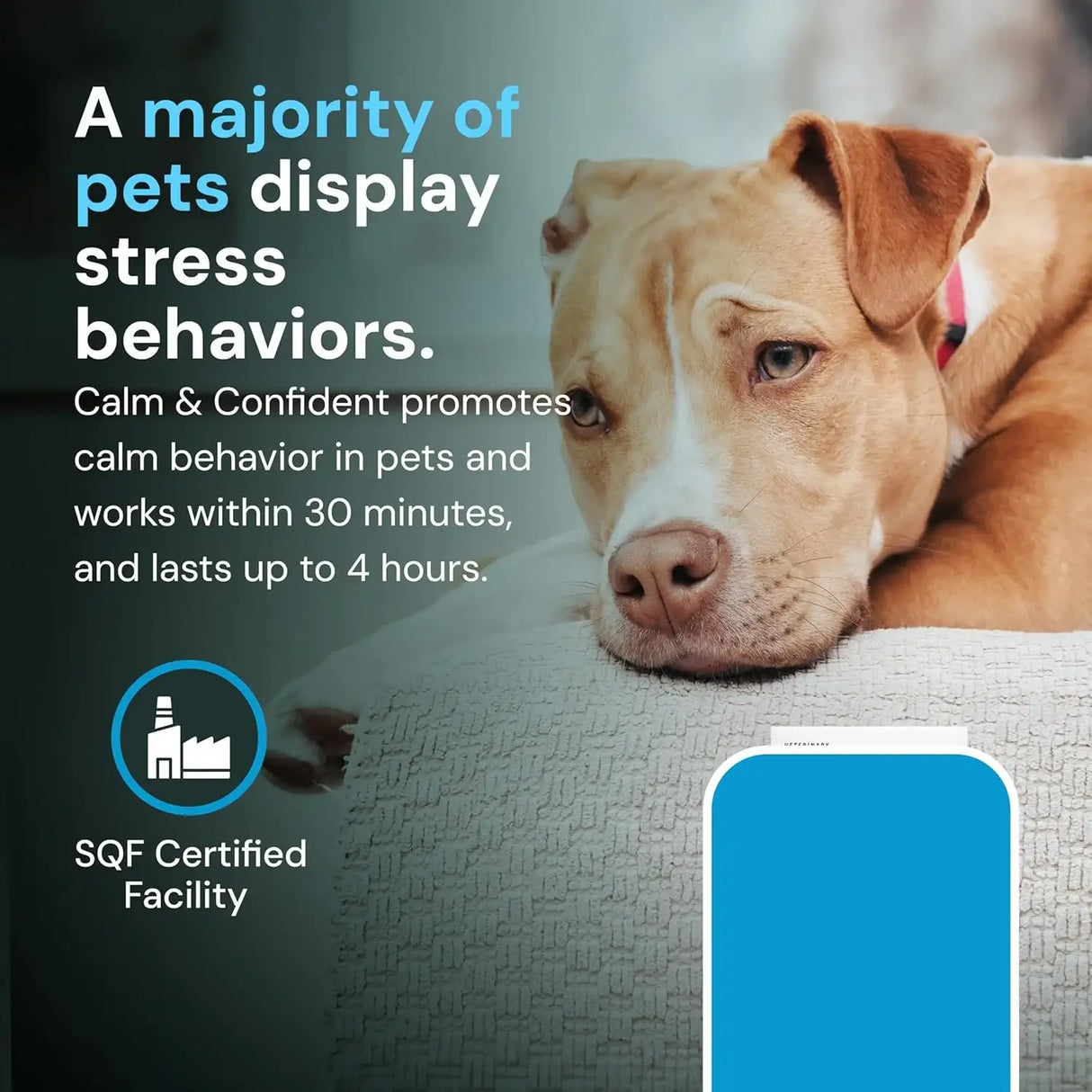 VETRISCIENCE - VetriScience Composure Pro Calming Support 60 Masticables - The Red Vitamin MX - Relajantes Para Perros - {{ shop.shopifyCountryName }}