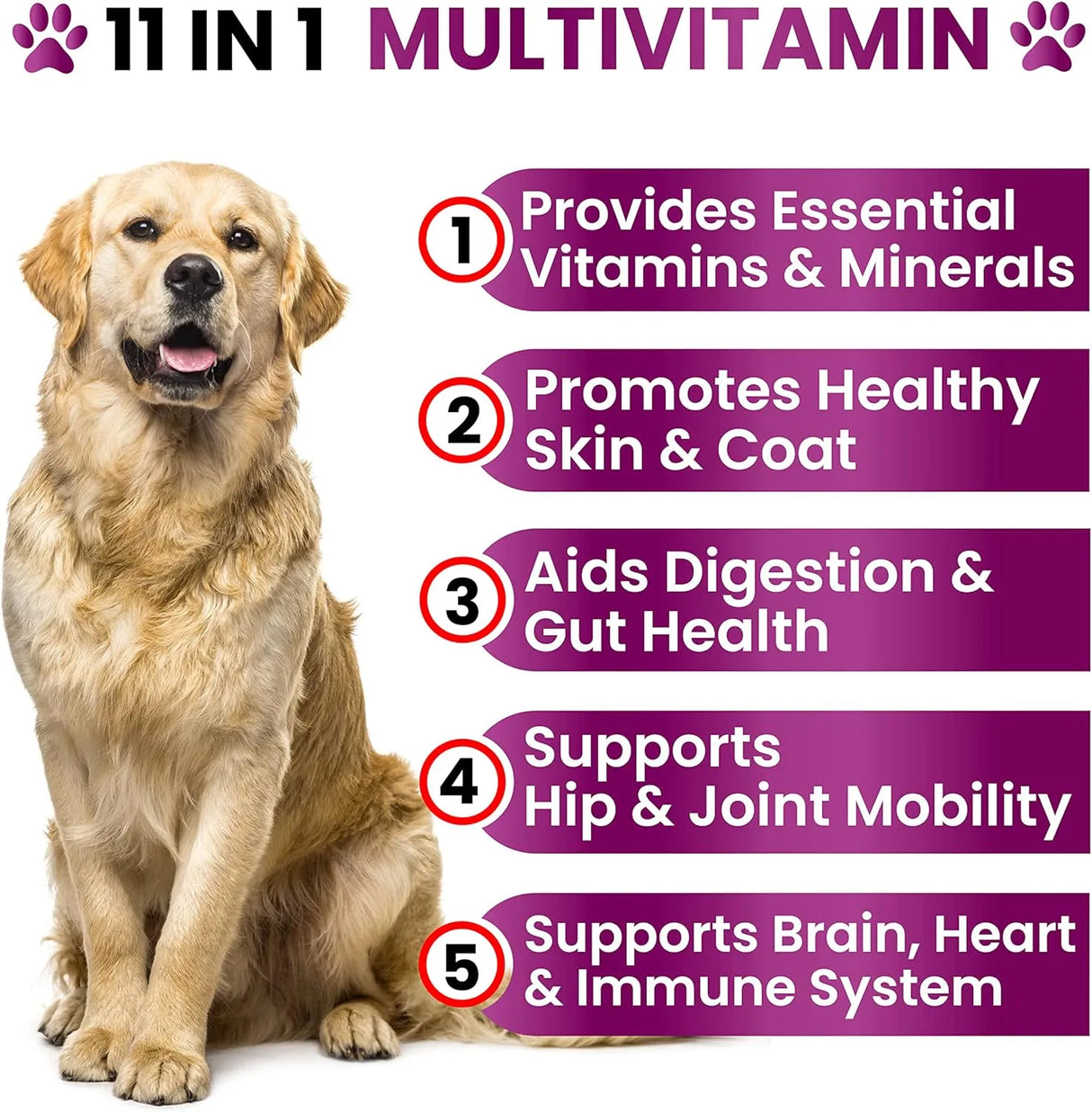 GRATEFUL PAWZ - Grateful Pawz Dog Multivitamin Chewable with Glucosamine 120 Masticables - The Red Vitamin MX - Multivitamínicos Para Perros - {{ shop.shopifyCountryName }}