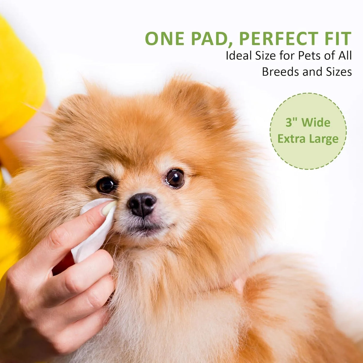 PAW BALLET - PAW BALLET Pet Eye Wipes for Cats & Dogs 120 Toallitas - The Red Vitamin MX - Cuidado De Los Ojos De Los Perros - {{ shop.shopifyCountryName }}