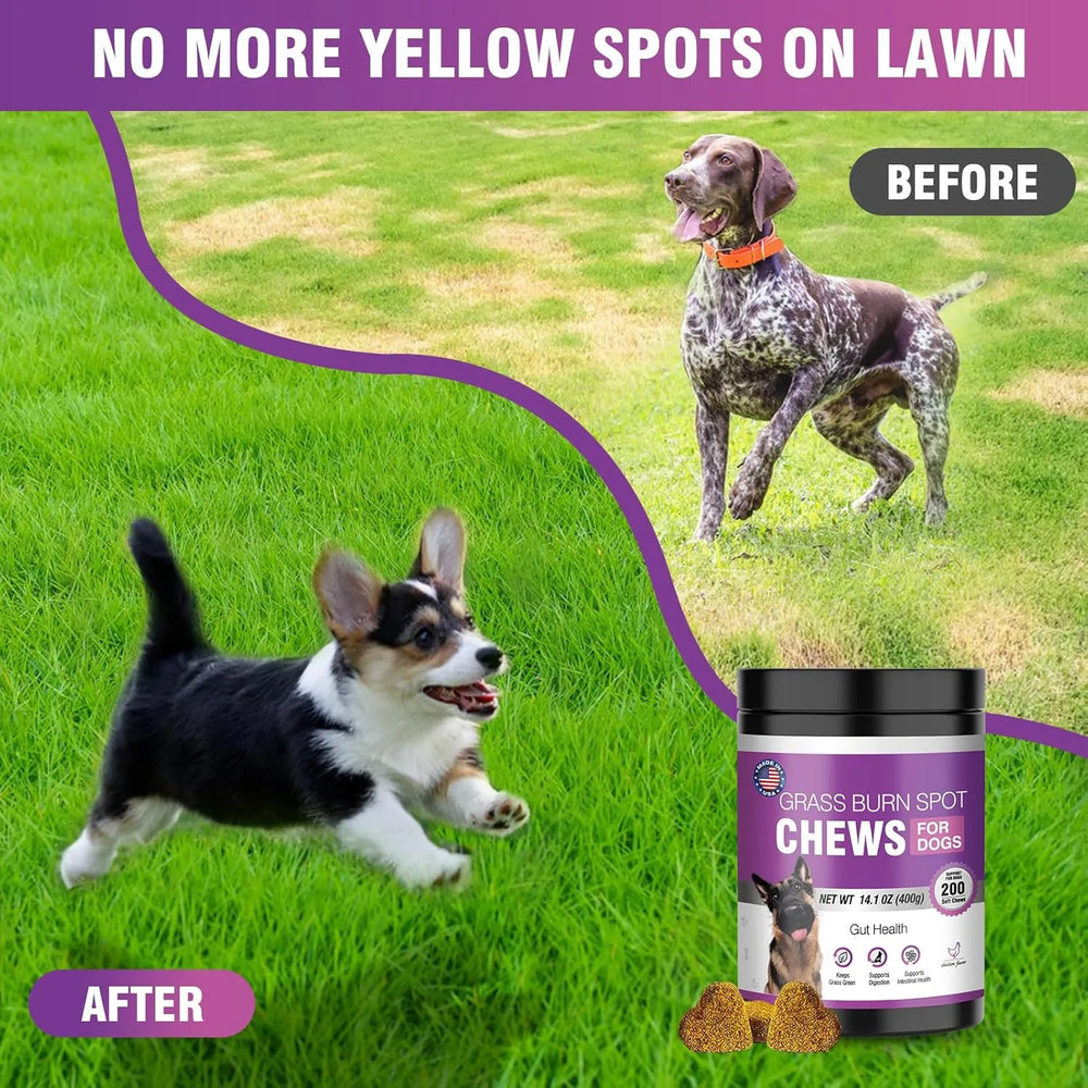 TTLXRL - TTLXRL Grass Burn Spot Chews for Dogs 200 Masticables - The Red Vitamin MX - Salud De Tracto Urinario Para Perros - {{ shop.shopifyCountryName }}