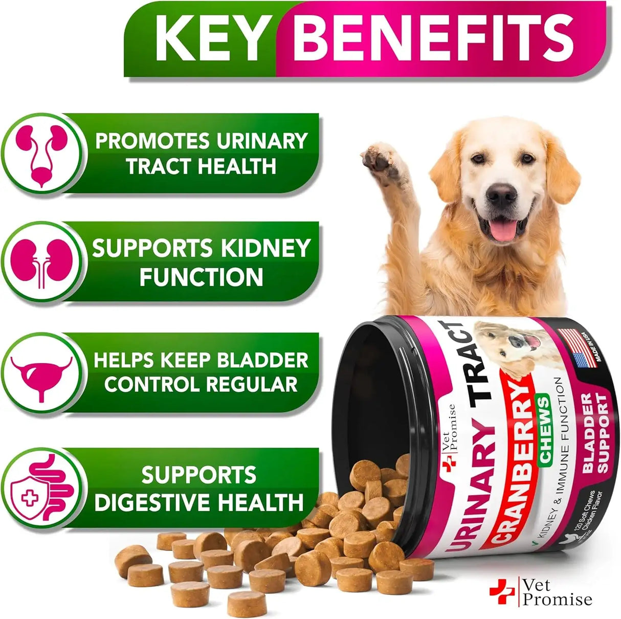 VET PROMISE - Vet Promise Dog UTI Treatment 120 Masticables - The Red Vitamin MX - Salud De Tracto Urinario Para Perros - {{ shop.shopifyCountryName }}