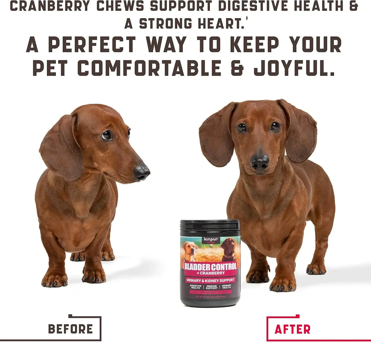 KINPUR - Kinpur Pet Care Dog UTI Treatment 180 Masticables - The Red Vitamin MX - Salud De Tracto Urinario Para Perros - {{ shop.shopifyCountryName }}