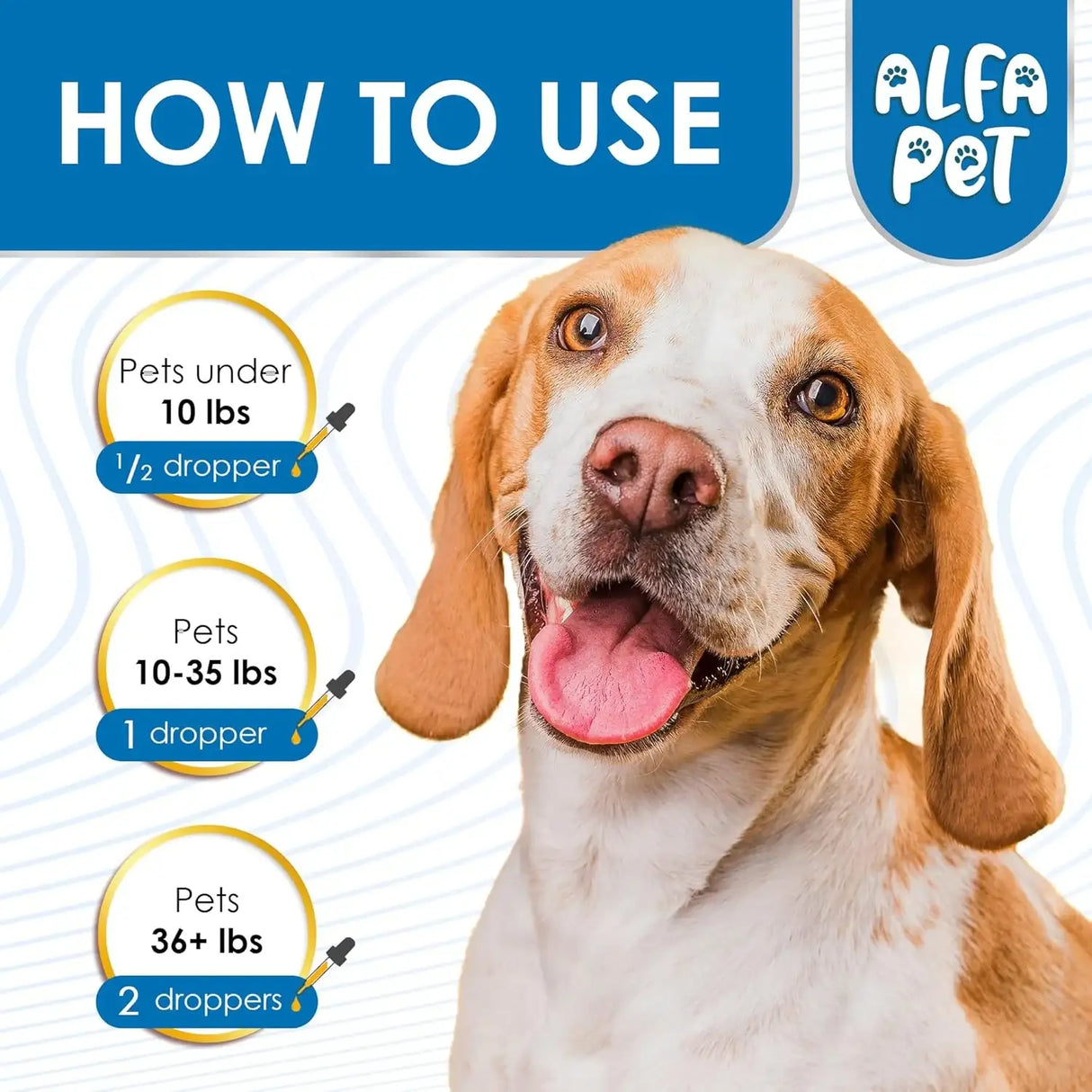 ALFA PET - Alfa Pet Dog Cough Treatment Liquid 2 Fl.Oz. - The Red Vitamin MX - Medicamentos Sin Receta Para Perros - {{ shop.shopifyCountryName }}