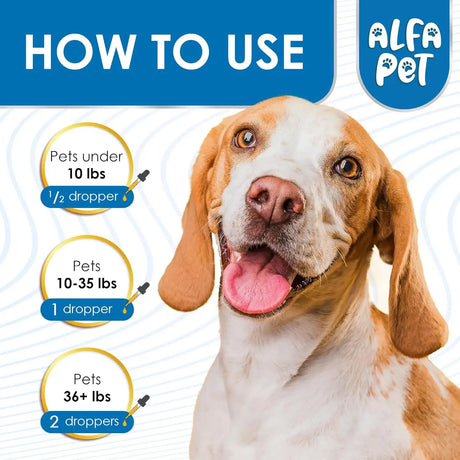 ALFA PET - Alfa Pet Dog Cough Treatment Liquid 2 Fl.Oz. - The Red Vitamin MX - Medicamentos Sin Receta Para Perros - {{ shop.shopifyCountryName }}