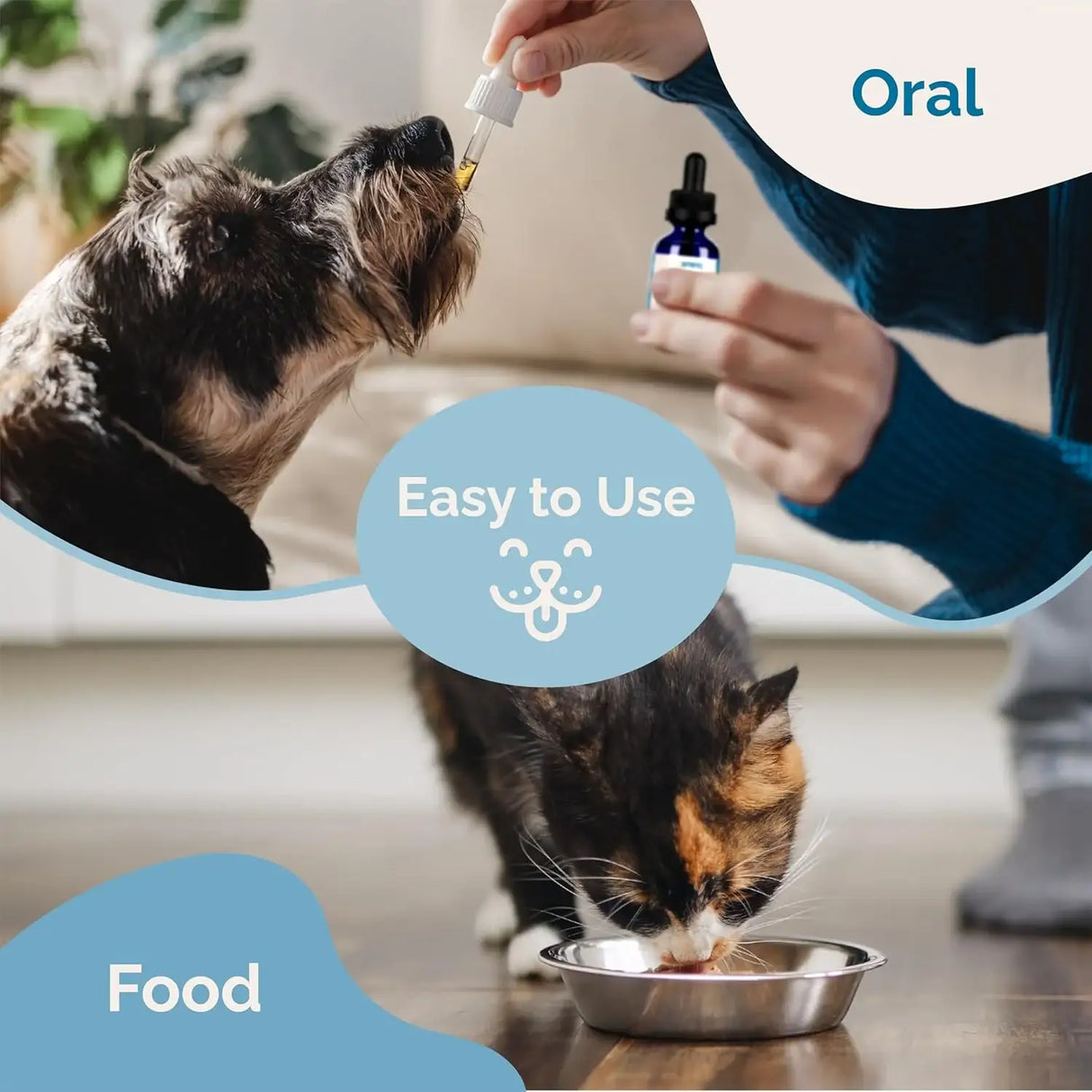 PRANAPETS - PranaPets Urinary Tract Support Liquid Supplement for Pets 2 Fl.Oz. - The Red Vitamin MX - Salud De Tracto Urinario Para Perros - {{ shop.shopifyCountryName }}