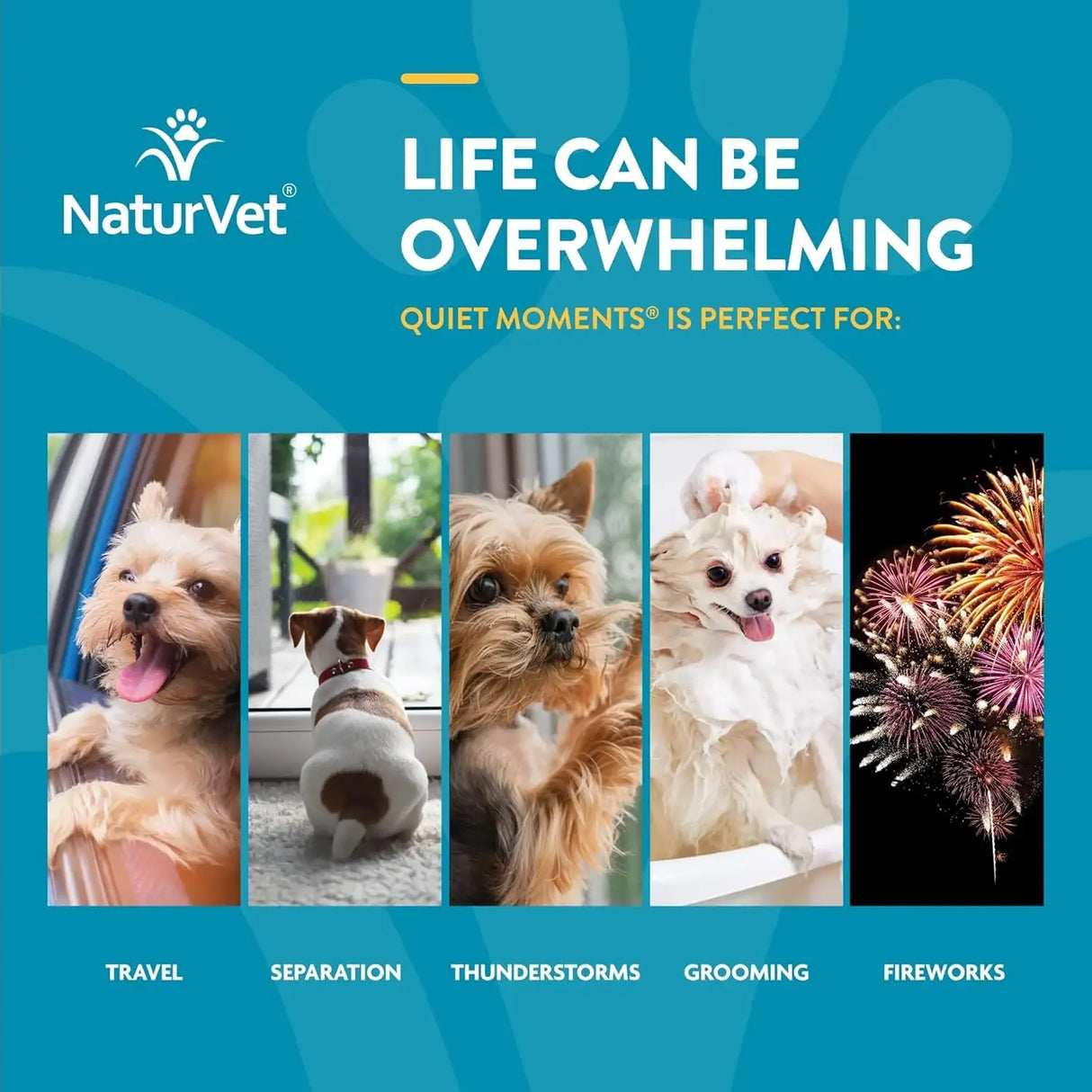 NATURVET - NaturVet Scoopables Quiet Moments Dog Calming Aid for Dogs 315Gr. - The Red Vitamin MX - Relajantes Para Perros - {{ shop.shopifyCountryName }}