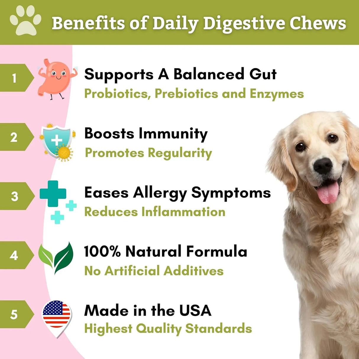 WHOLISTIC PET ORGANICS - Wholistic Pet Organics: Probiotic Chews for Dogs 120 Masticables - The Red Vitamin MX - Probióticos Para Perros - {{ shop.shopifyCountryName }}