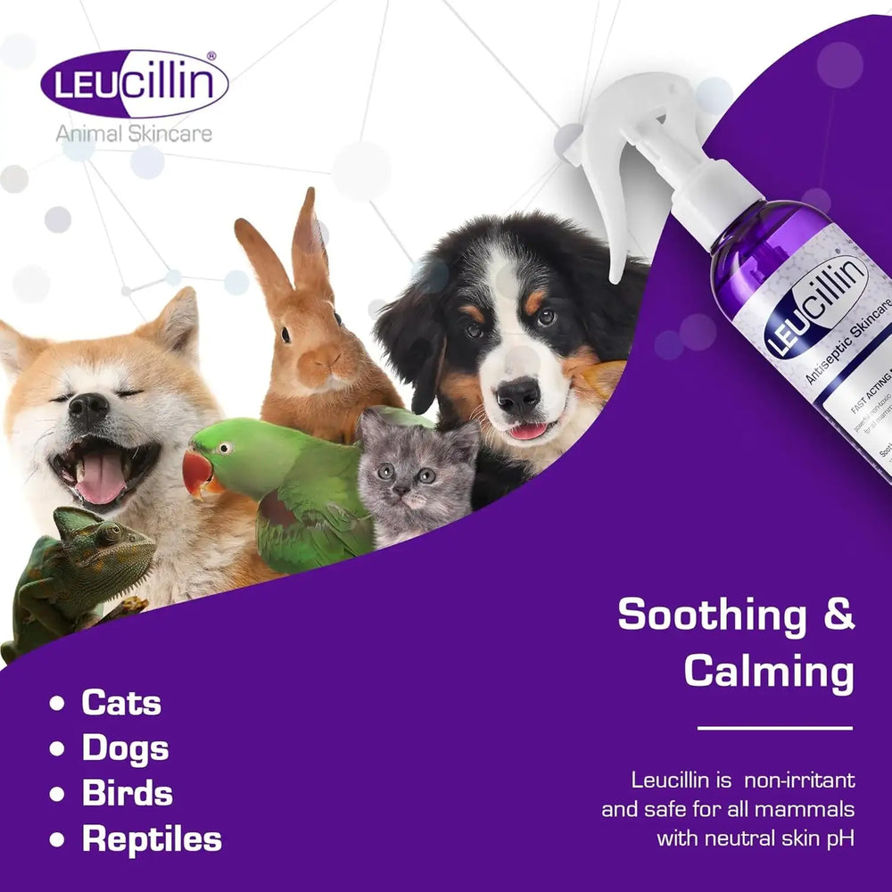 LEUCILLIN - Leucillin Natural Antiseptic Spray for Dogs 150Ml. - The Red Vitamin MX - Remedios Para La Picazón De Perros - {{ shop.shopifyCountryName }}