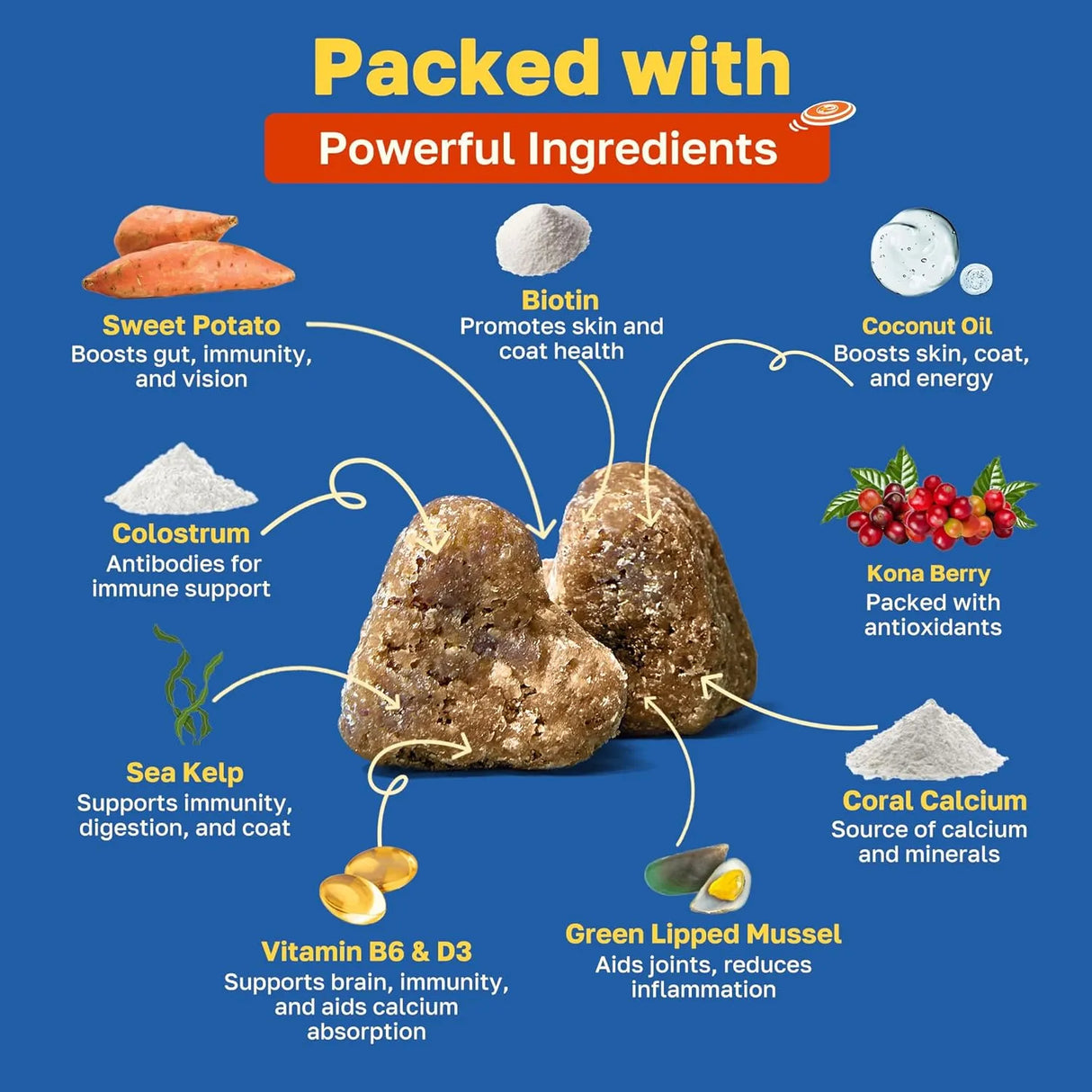 HAPPY PAWS - Happy Paws Multivitamin for Dogs Lamb Flavor 100 Masticables 2 Pack - The Red Vitamin MX - Multivitamínicos Para Perros - {{ shop.shopifyCountryName }}