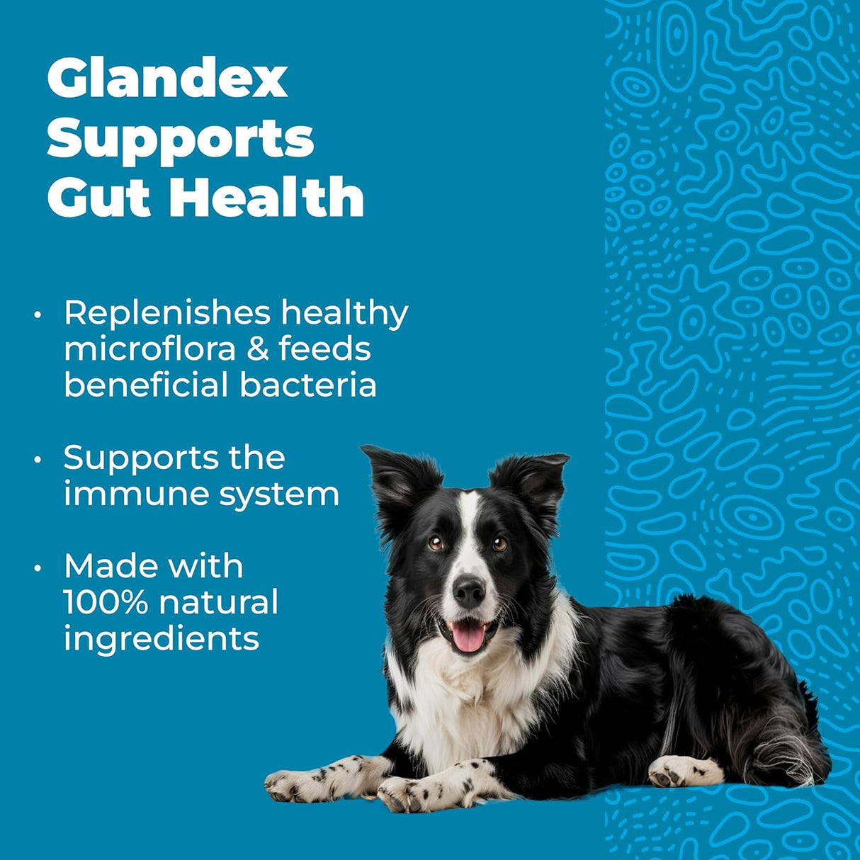 Vetnique Glandex Daily Probiotics for Dogs 30 Masticables