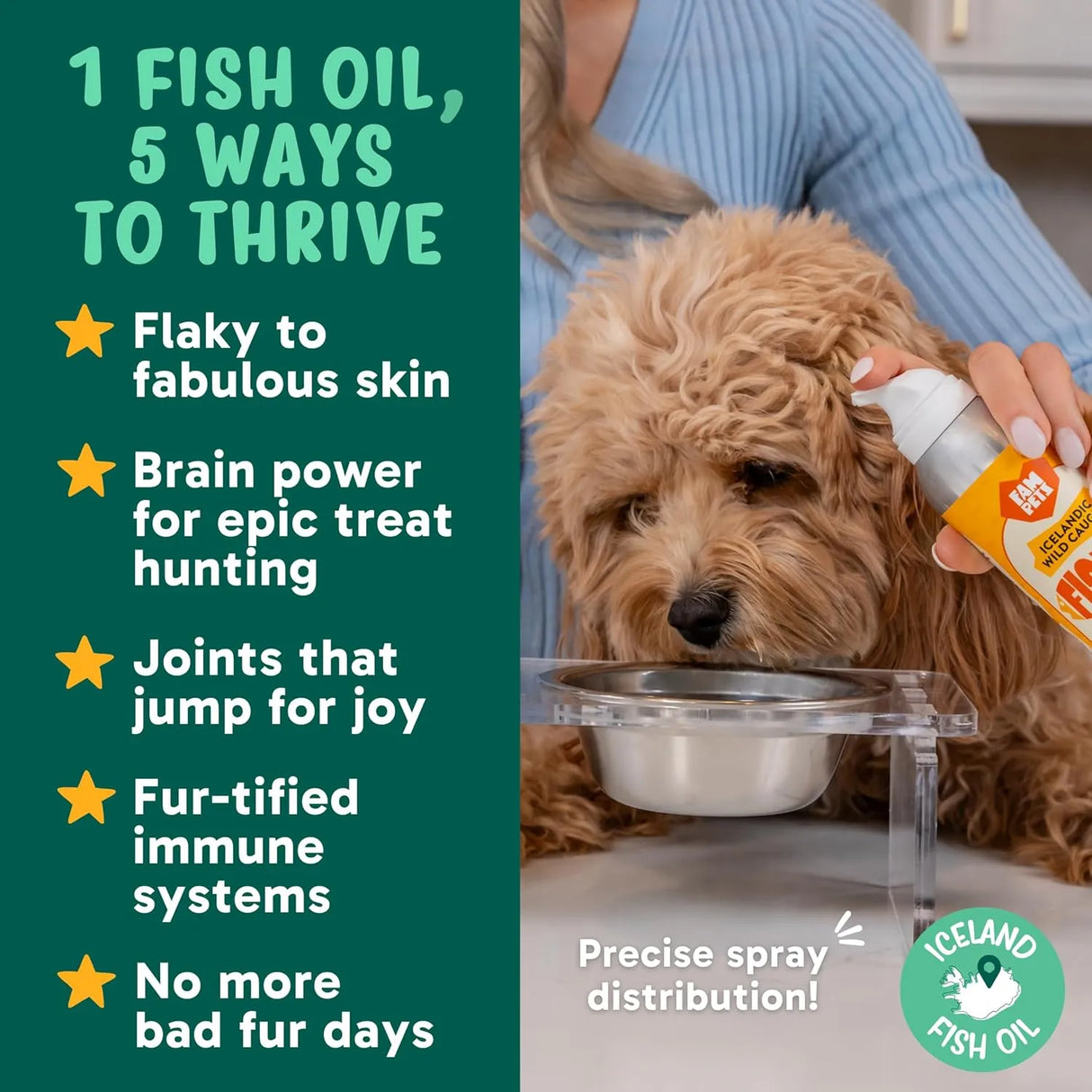 FAM PETS - FAM Pets Omega 3 Fish Oil for Dogs and Cats 5 Fl.Oz. - The Red Vitamin MX - Aceite De Pescado Para Perros - {{ shop.shopifyCountryName }}