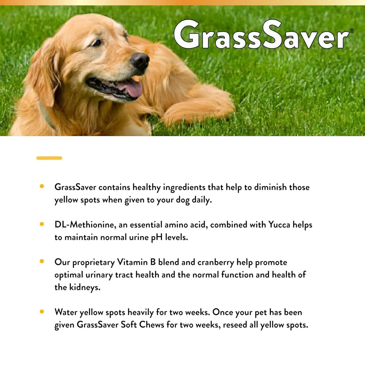 NATURVET - NaturVet GrassSaver Supplement for Dogs 120 Masticables - The Red Vitamin MX - Salud De Tracto Urinario Para Perros - {{ shop.shopifyCountryName }}