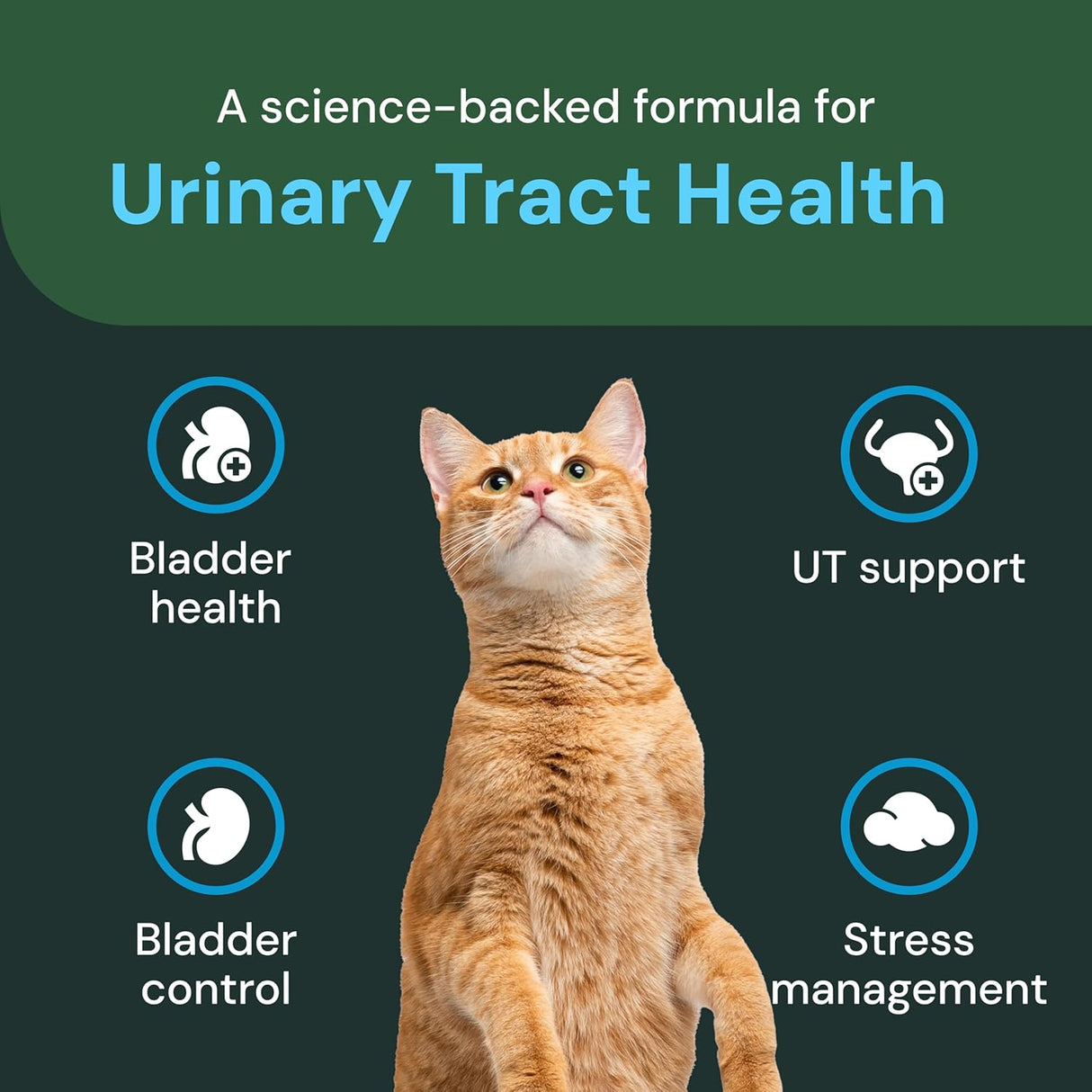 VetriScience Veterinary Strength UT Health Chews Cats 90 Masticables