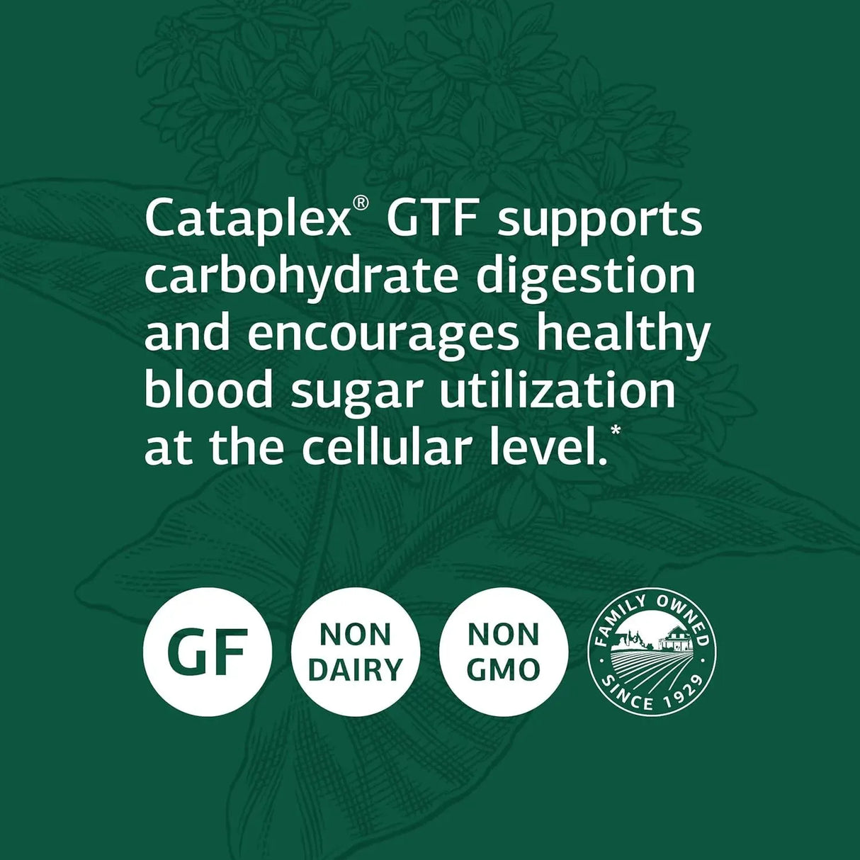 STANDARD PROCESS - Standard Process Chromium Complex 180 Tabletas - The Red Vitamin MX - Suplementos Alimenticios - {{ shop.shopifyCountryName }}