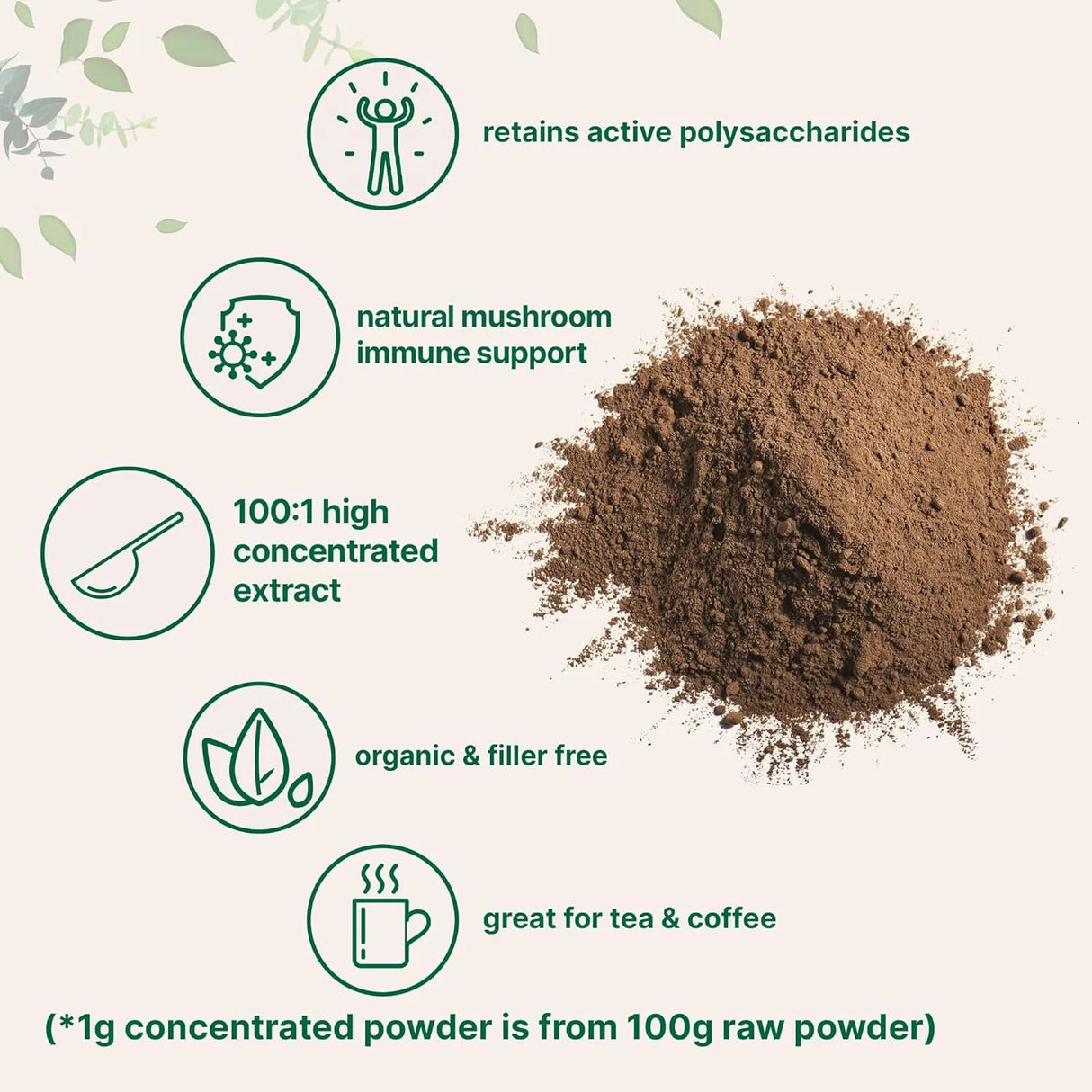 MICRO INGREDIENTS - Micro Ingredients Organic Reishi Mushroom Powder 454Gr. - The Red Vitamin MX - Suplementos Alimenticios - {{ shop.shopifyCountryName }}
