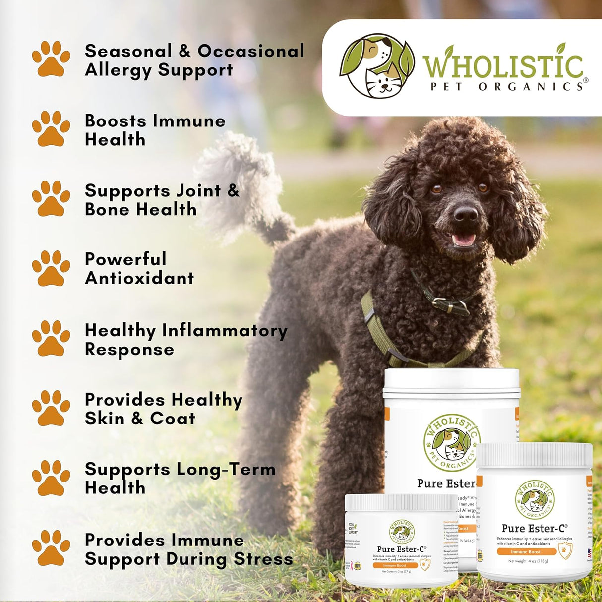 Wholistic Pet Organics Pure Ester-C Powder for Dogs 57Gr.