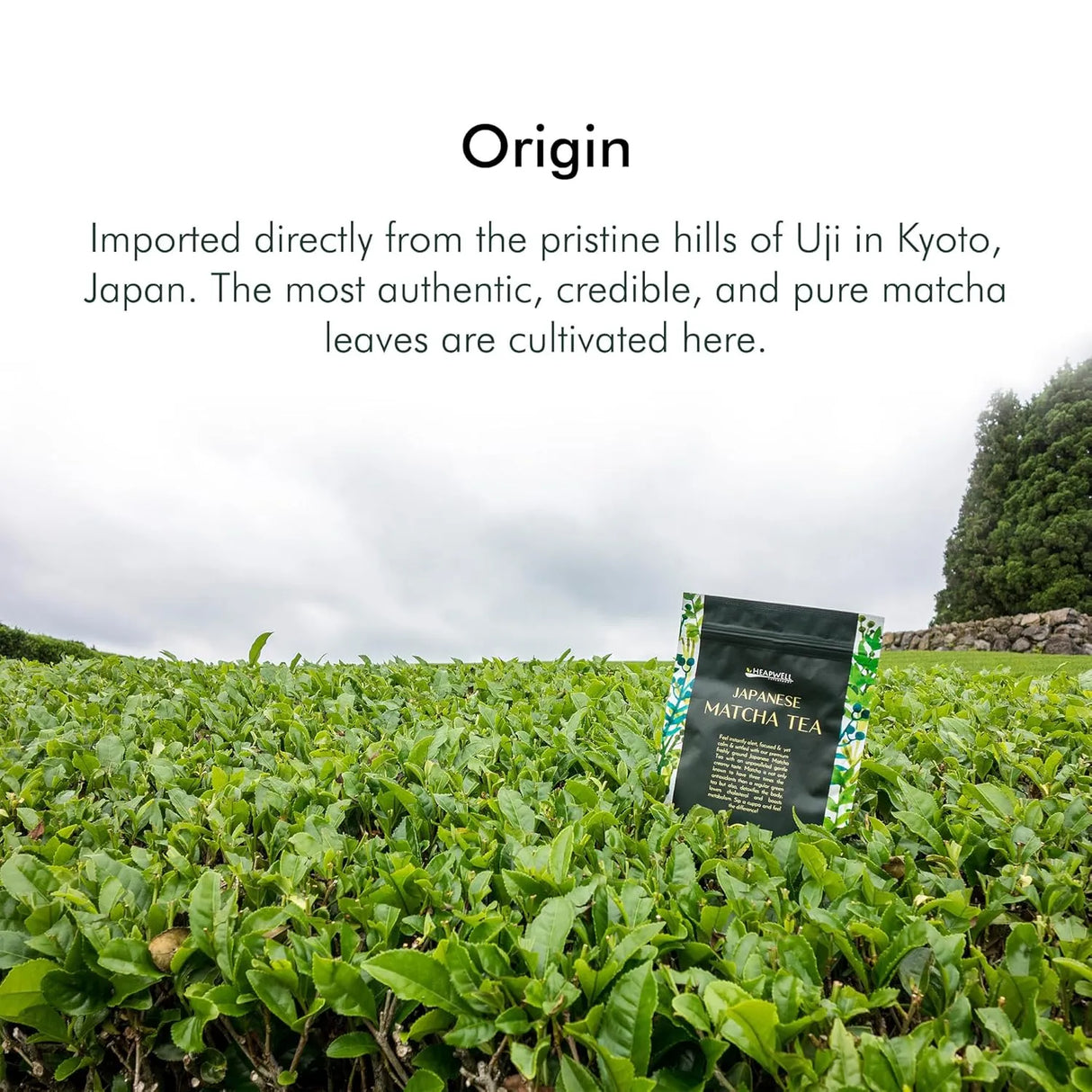 HEAPWELL - Heapwell Kyoto Uji Finest Ceremonial Matcha 30Gr. - The Red Vitamin MX - Suplementos Alimenticios - {{ shop.shopifyCountryName }}