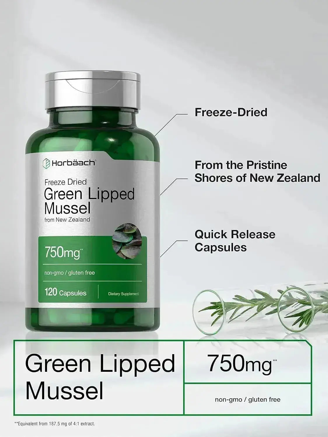 HORBAACH - Horbaach Green Lipped Mussel 750Mg. 120 Capsulas - The Red Vitamin MX - Suplementos Alimenticios - {{ shop.shopifyCountryName }}